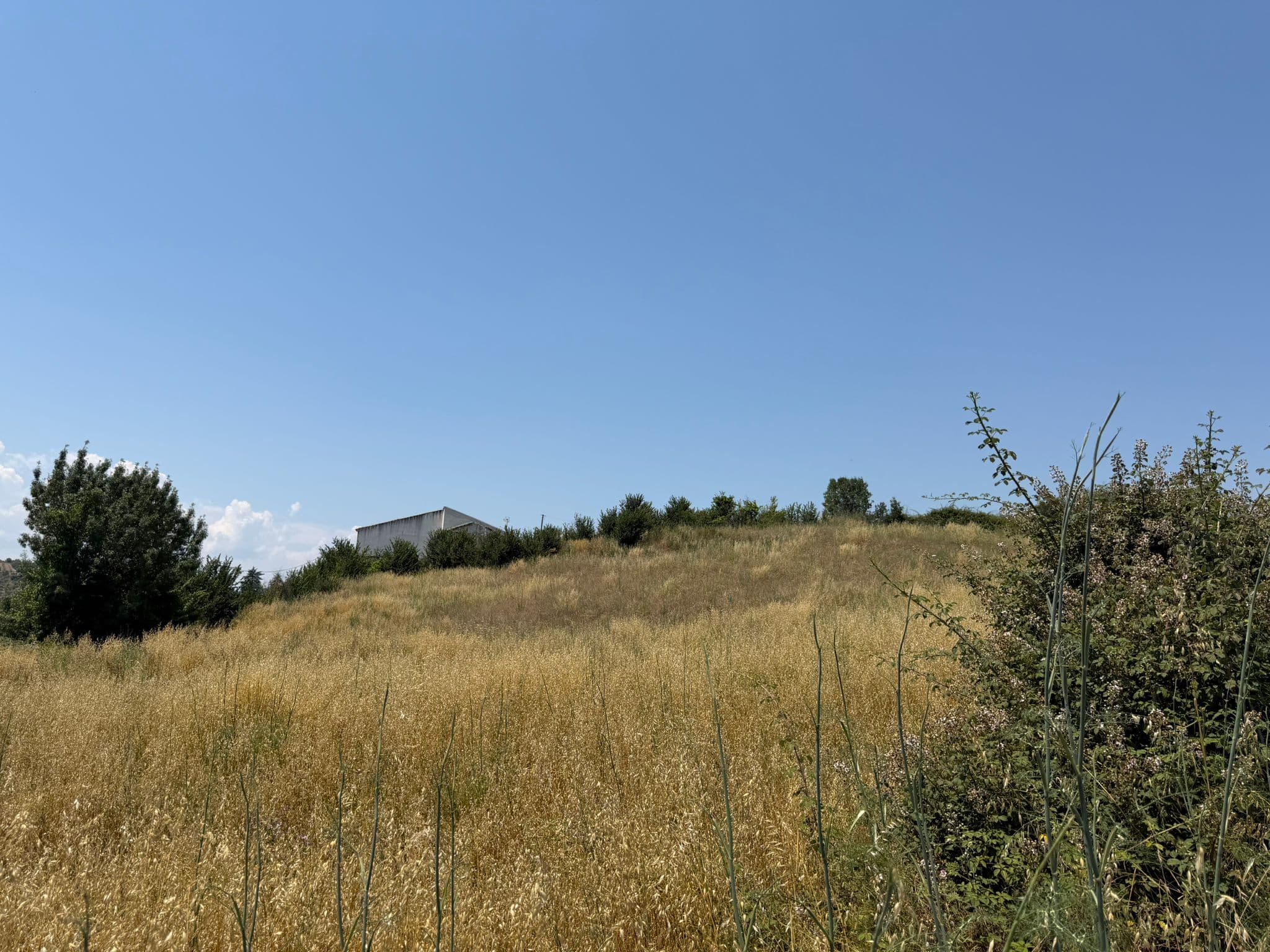 Quinhão Hereditário · Mirandela — imagen 5