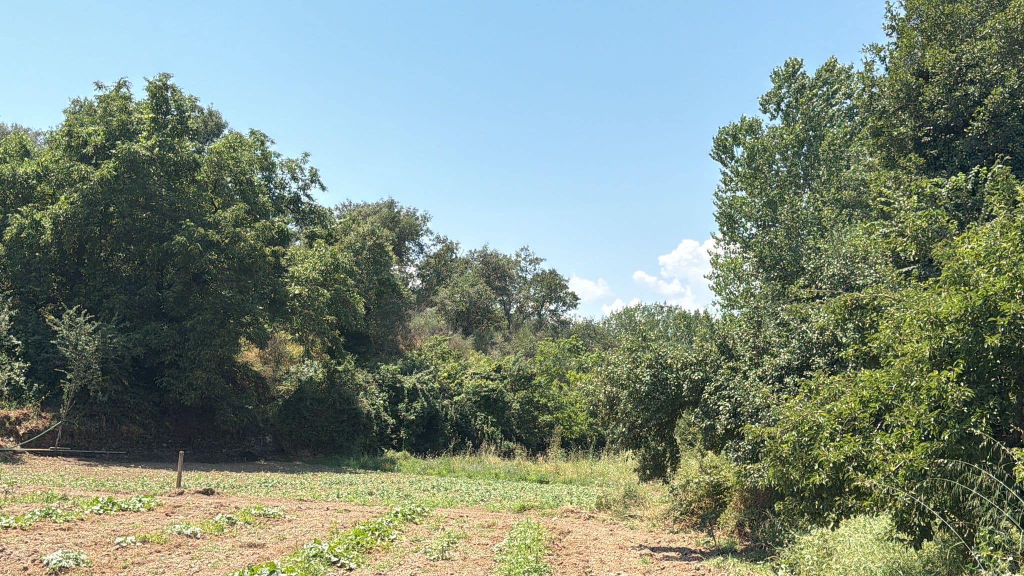 Quinhão Hereditário · Mirandela — imagen 14