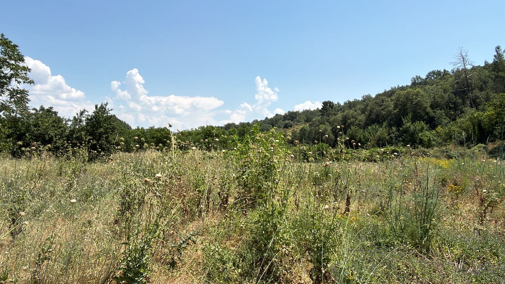 Quinhão Hereditário · Mirandela — imagen 13