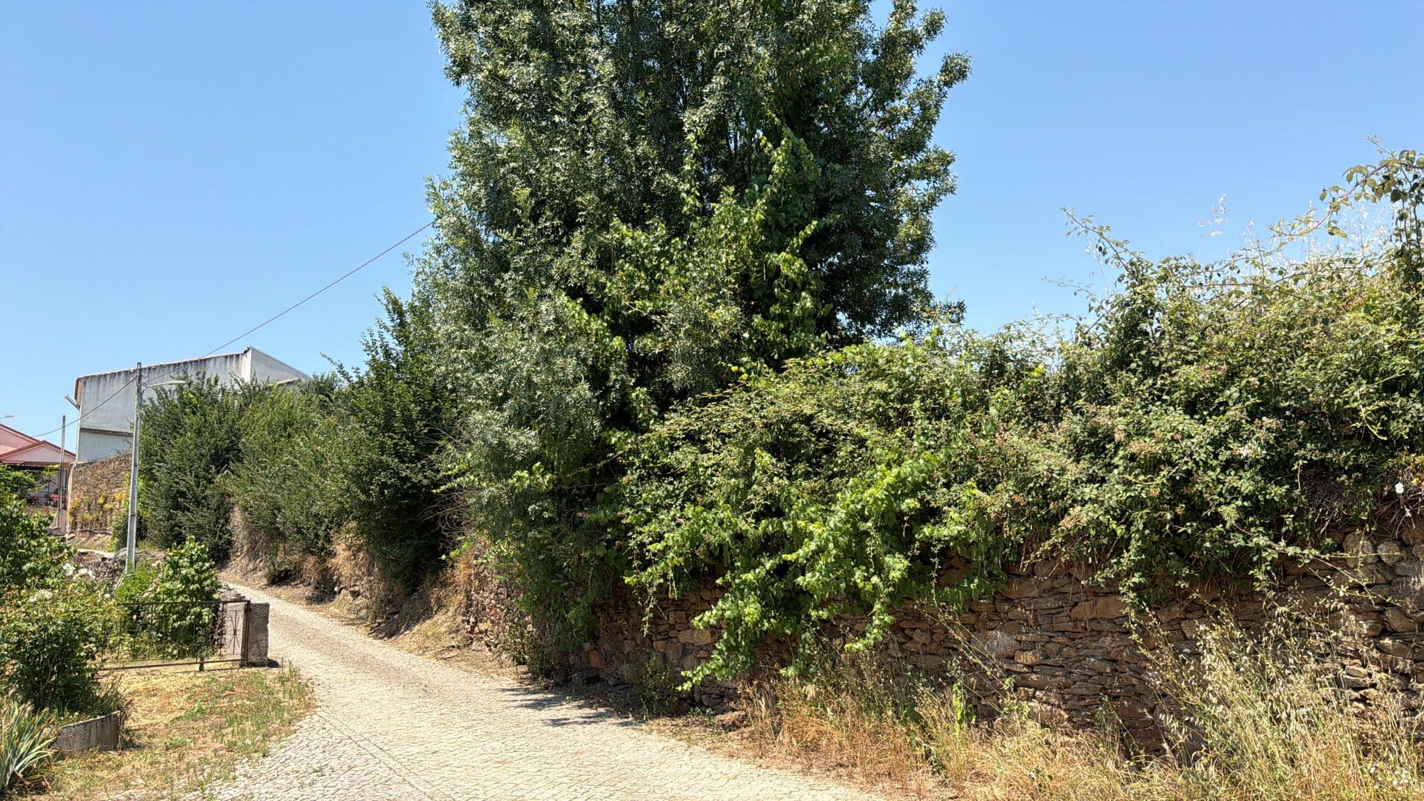 Quinhão Hereditário · Mirandela — imagen 7
