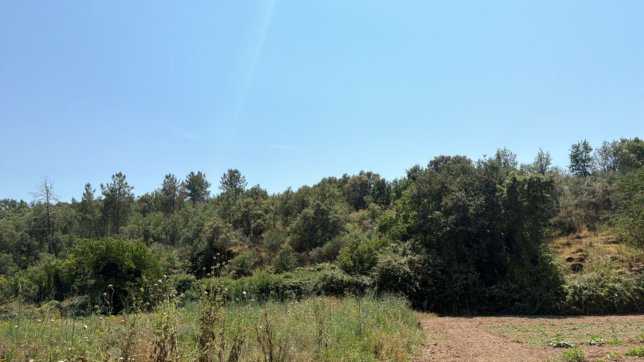 Quinhão Hereditário · Mirandela — imagen 15