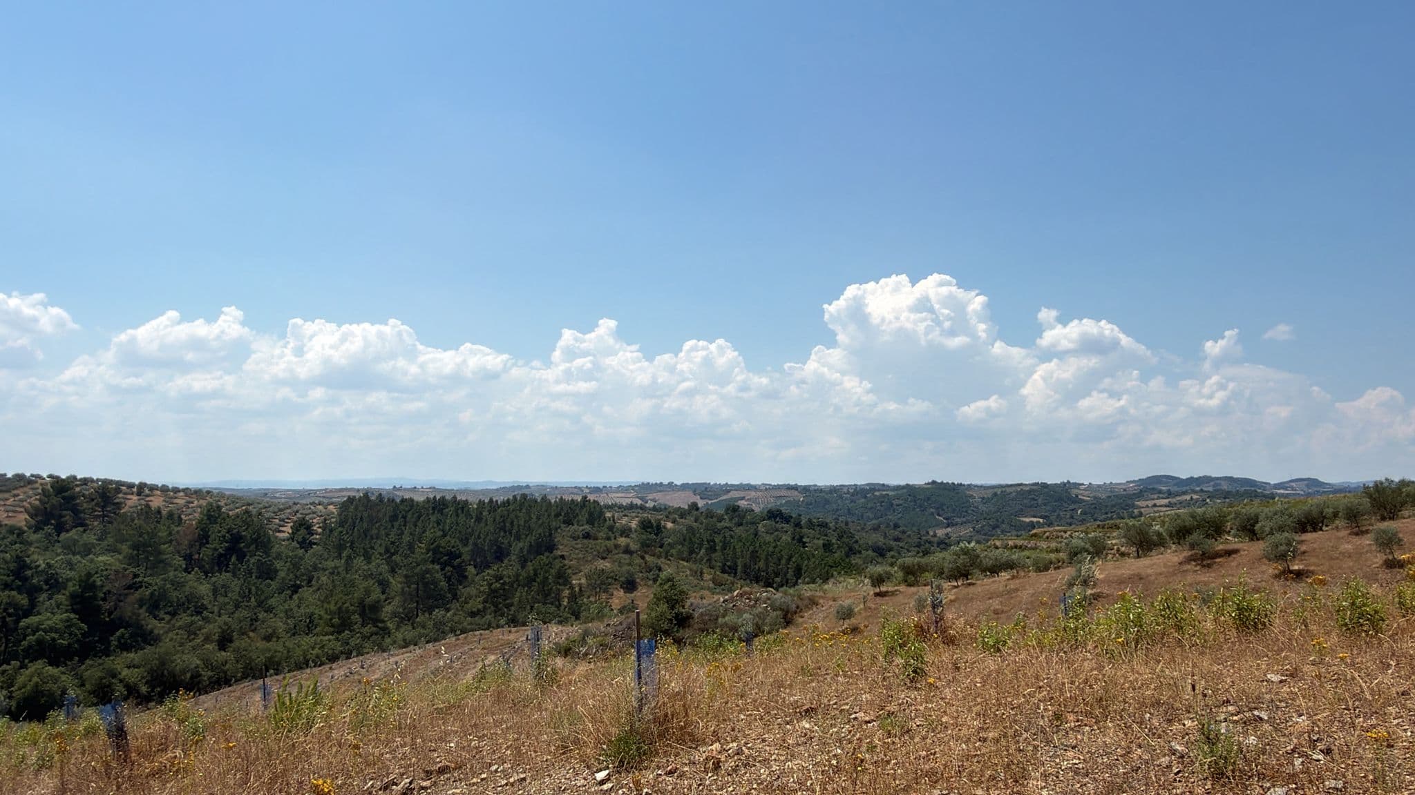 Quinhão Hereditário · Mirandela — imagen 8