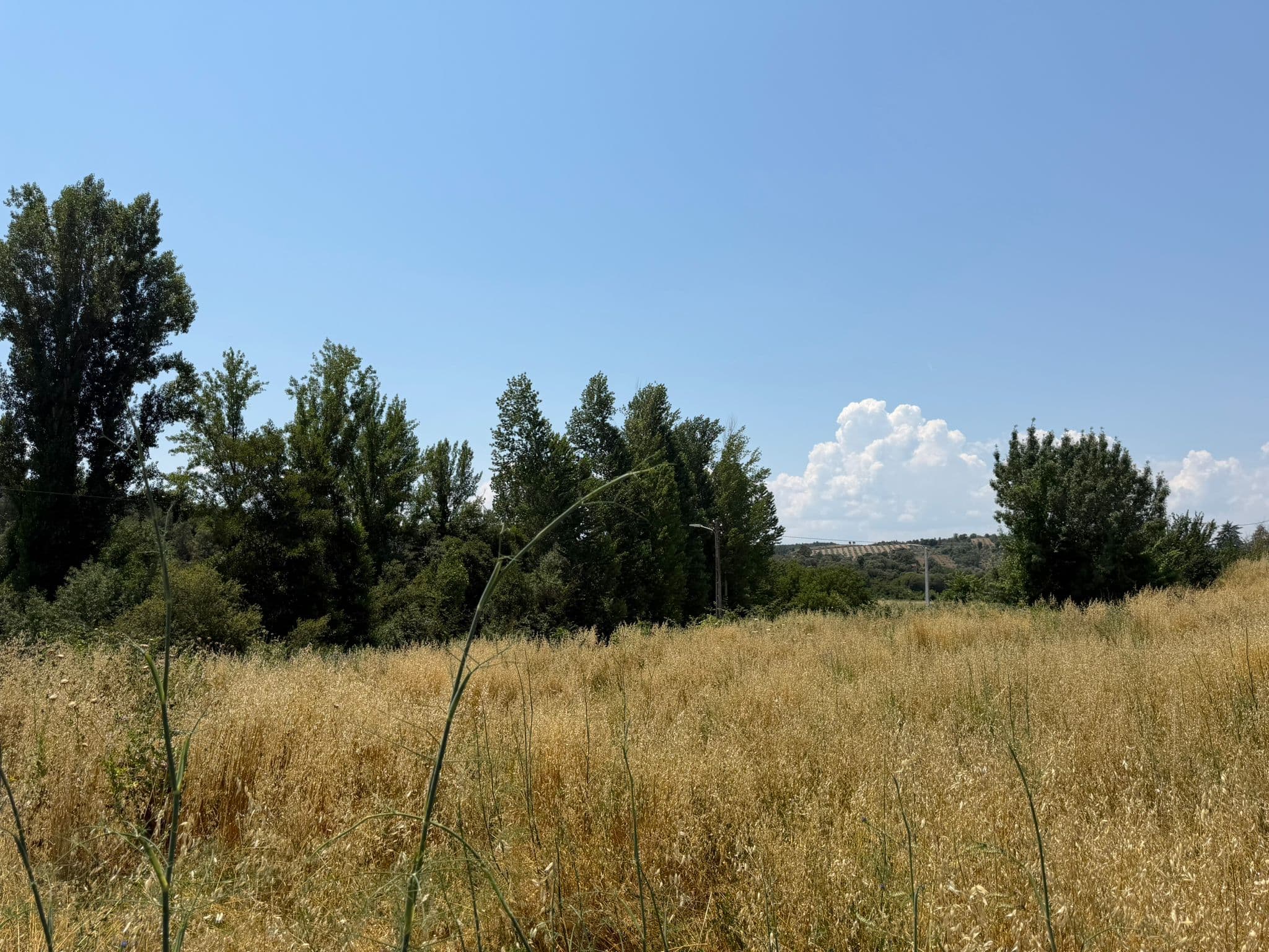 Quinhão Hereditário · Mirandela — imagen 6