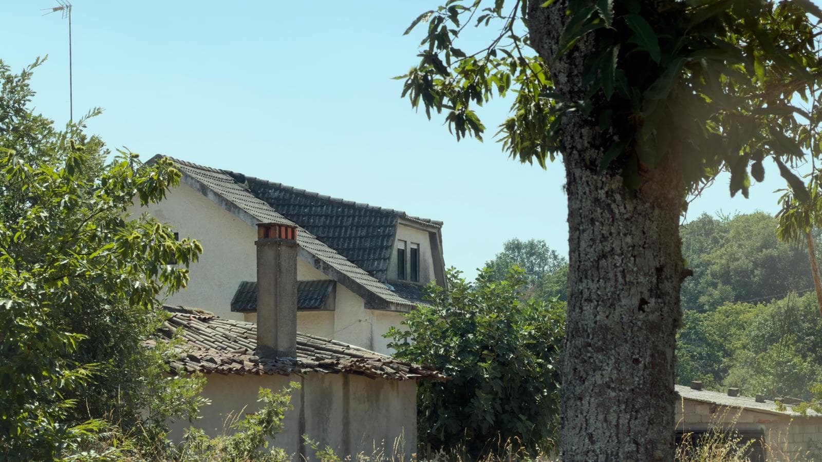Maison · Donai, Bragança — image 3