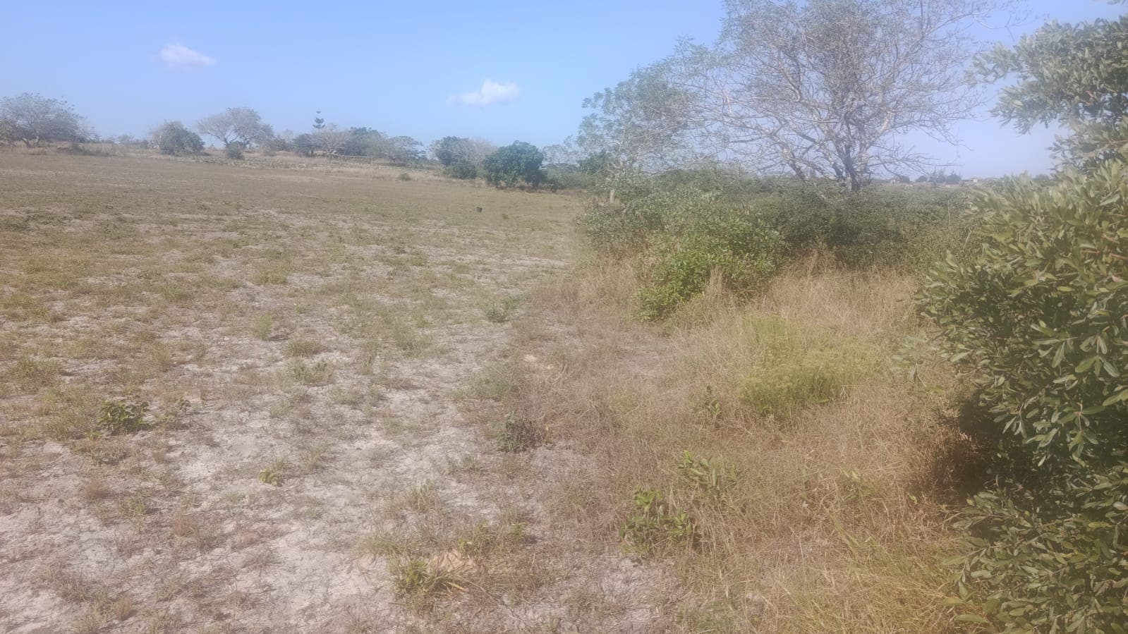 Infraestruturas em terreno com Vivenda T1 – Bairro Pateque — imagem 6
