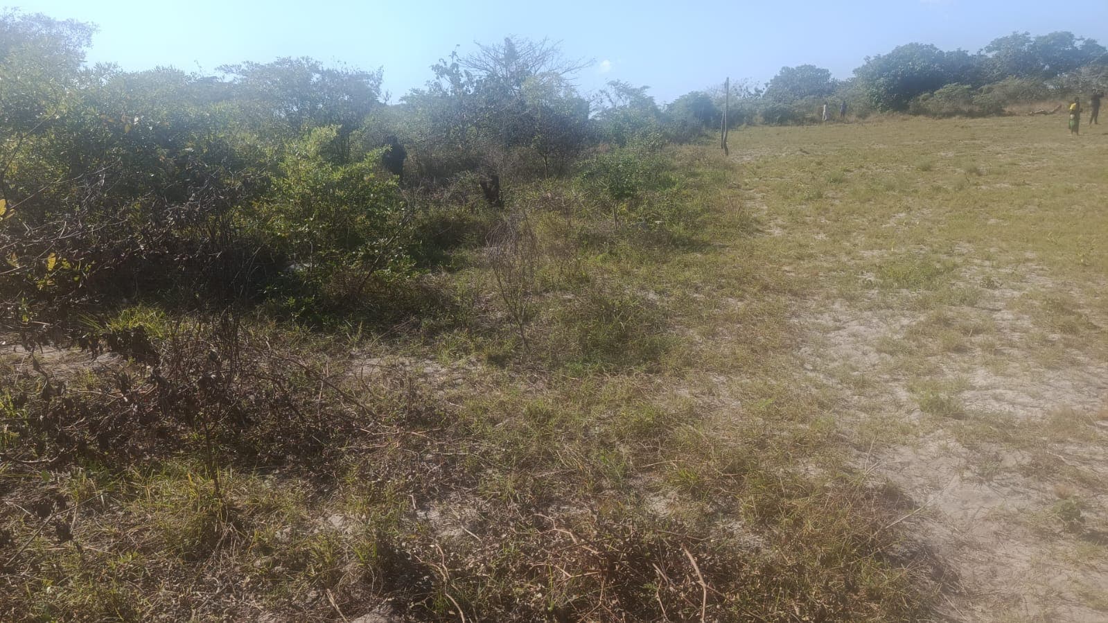 Infraestruturas em terreno com Vivenda T1 – Bairro Pateque — imagem 4