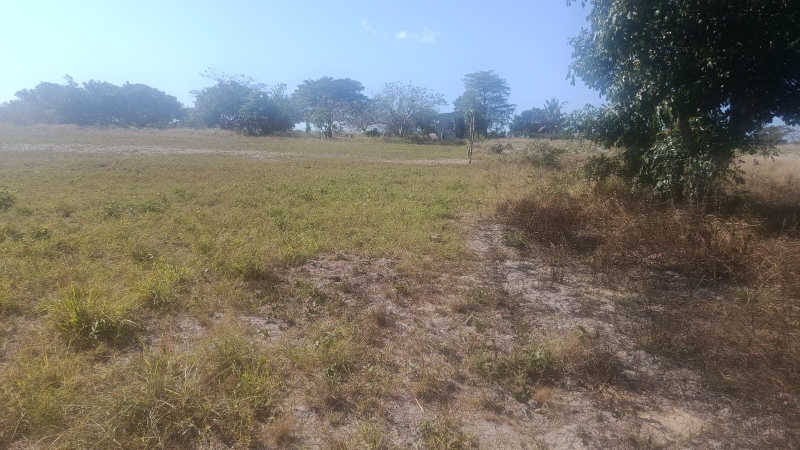 Infraestruturas em terreno com Vivenda T1 – Bairro Pateque — imagem 2
