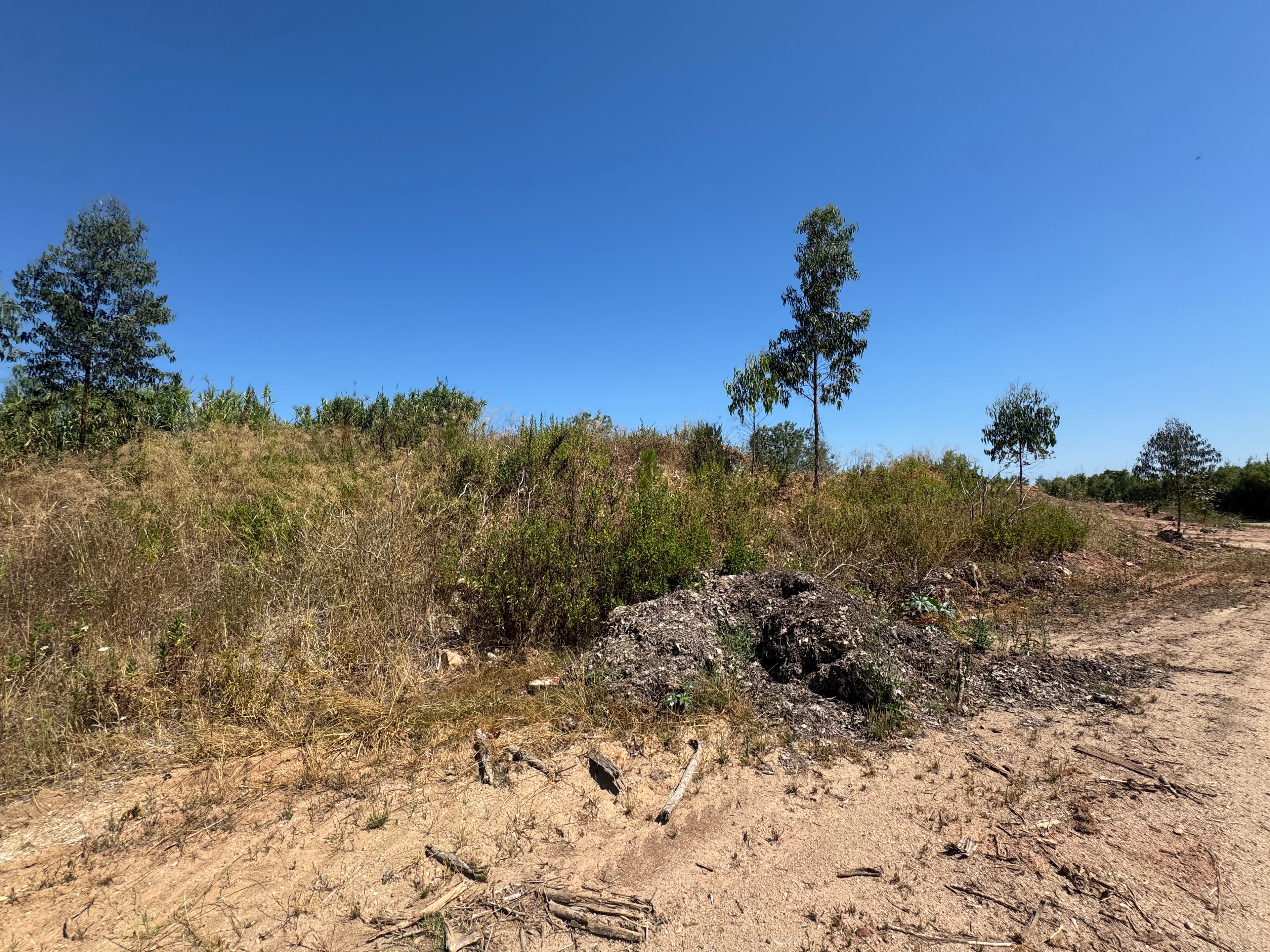 Terra de jardim para crivar — imagem 5