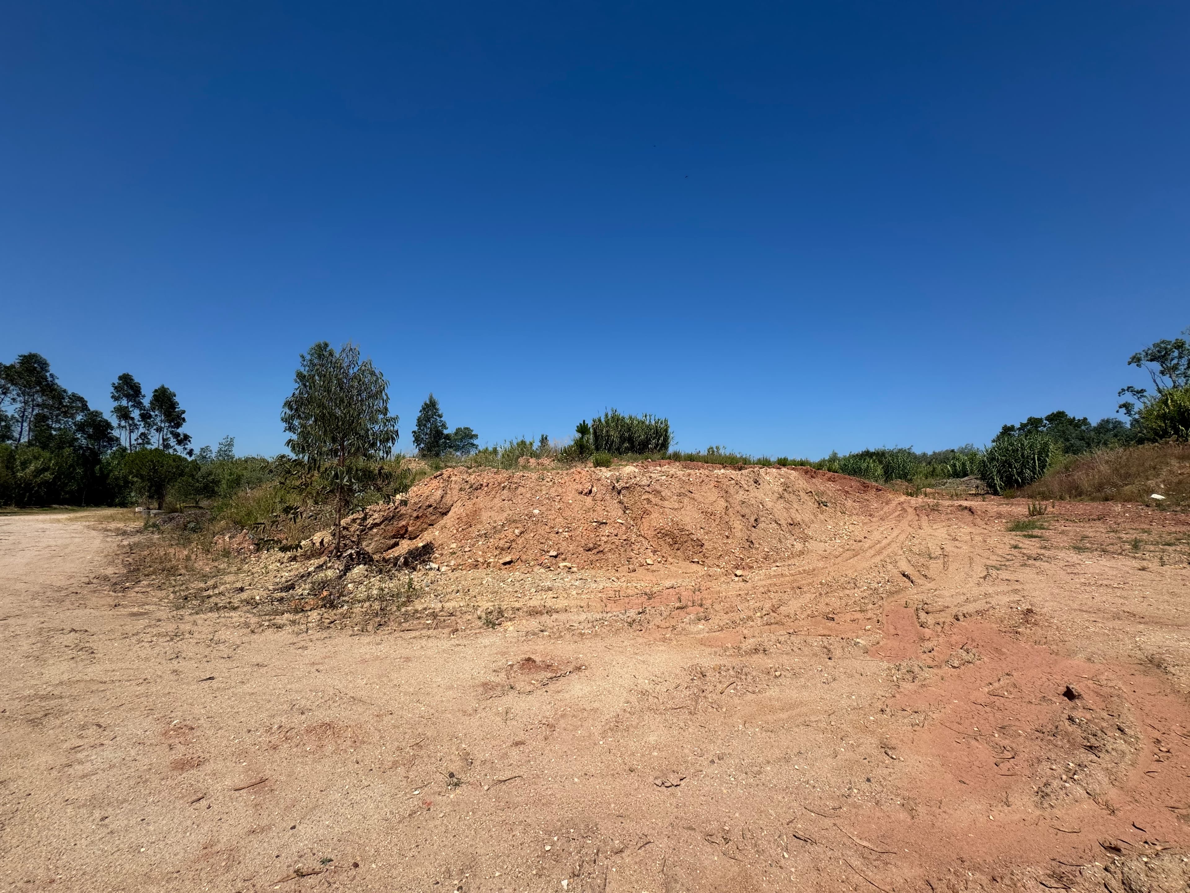 Terra de jardim para crivar — imagem 1