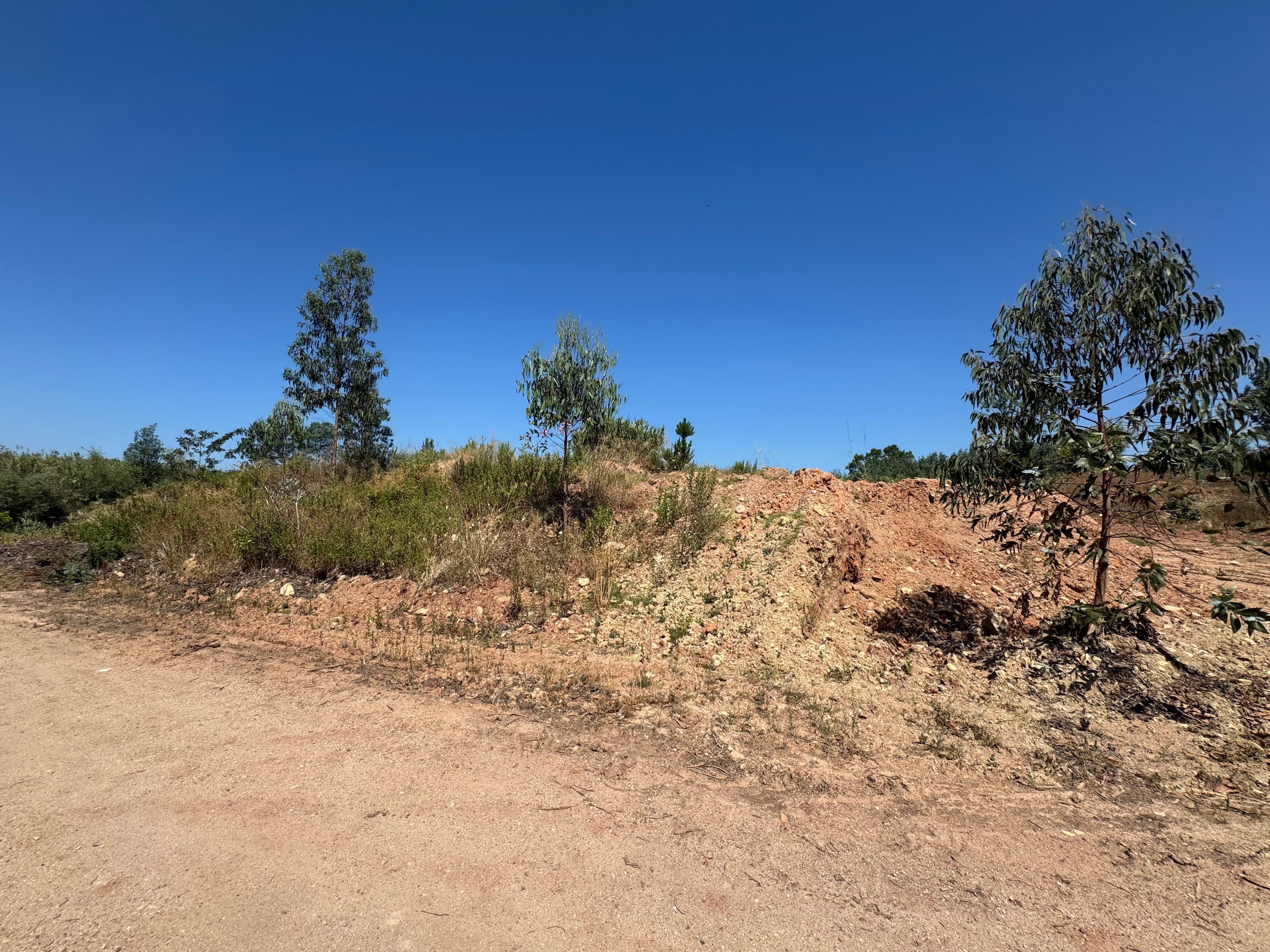 Terra de jardim para crivar — imagem 3