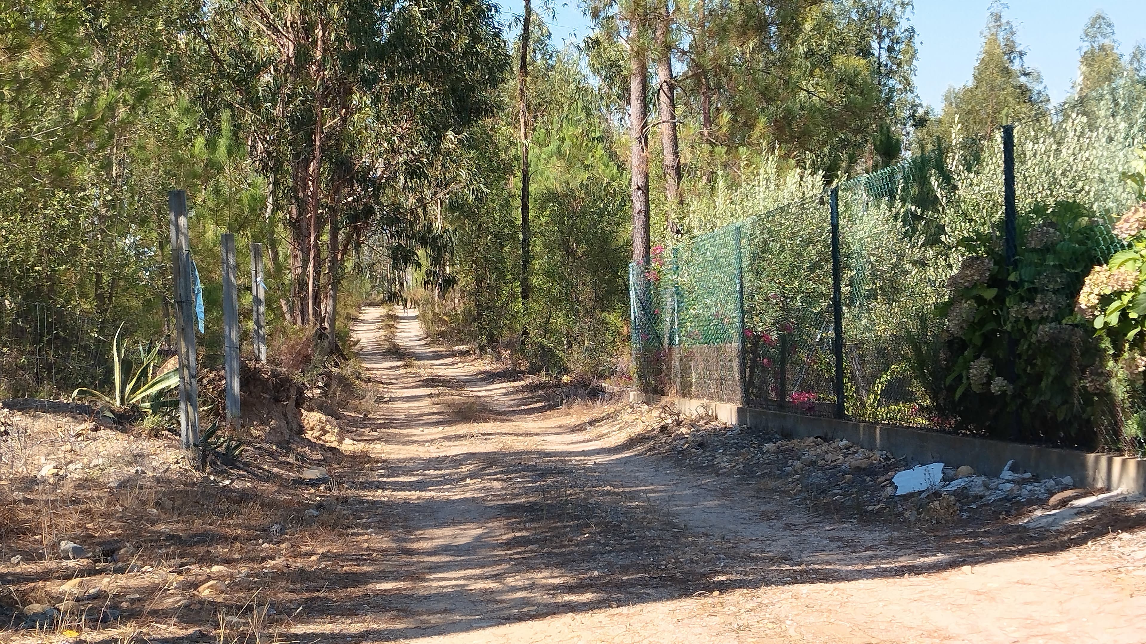 Proporção de 1/2 de Terreno · Abrantes — imagem 4