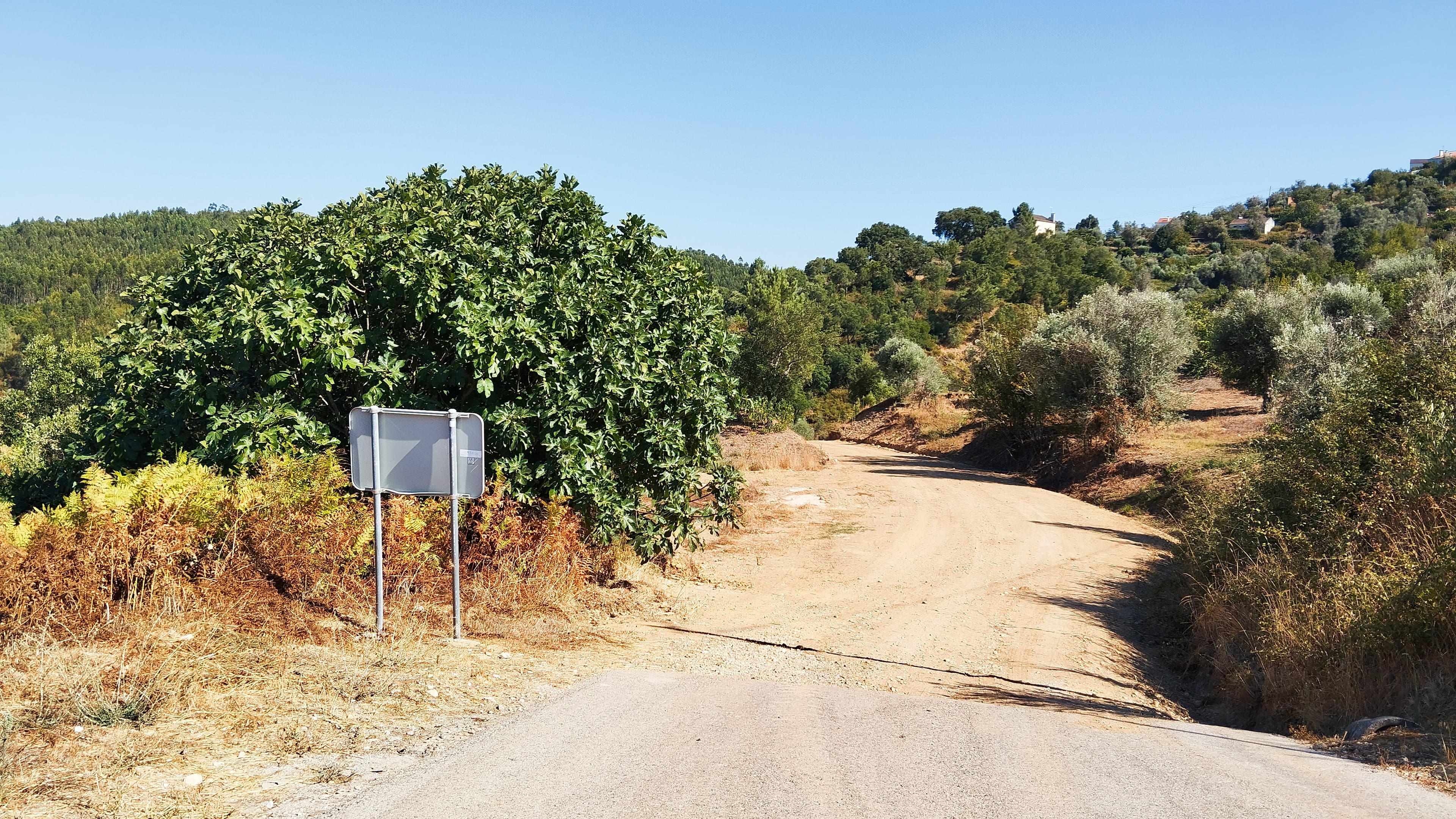 Proporção de 1/4 de Terreno · Abrantes — image 3