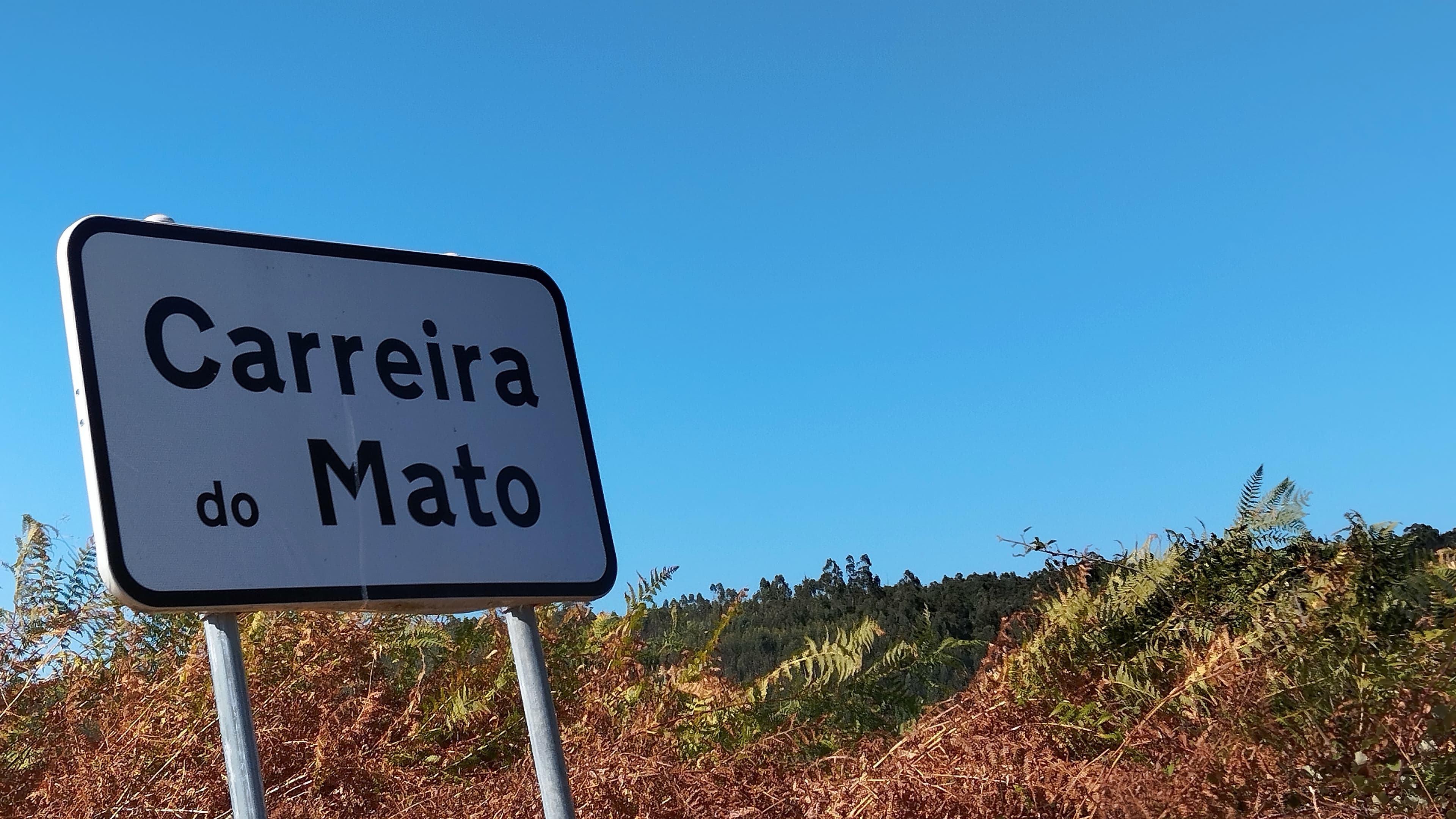 Proporção de 1/4 de Terreno · Abrantes — image 4