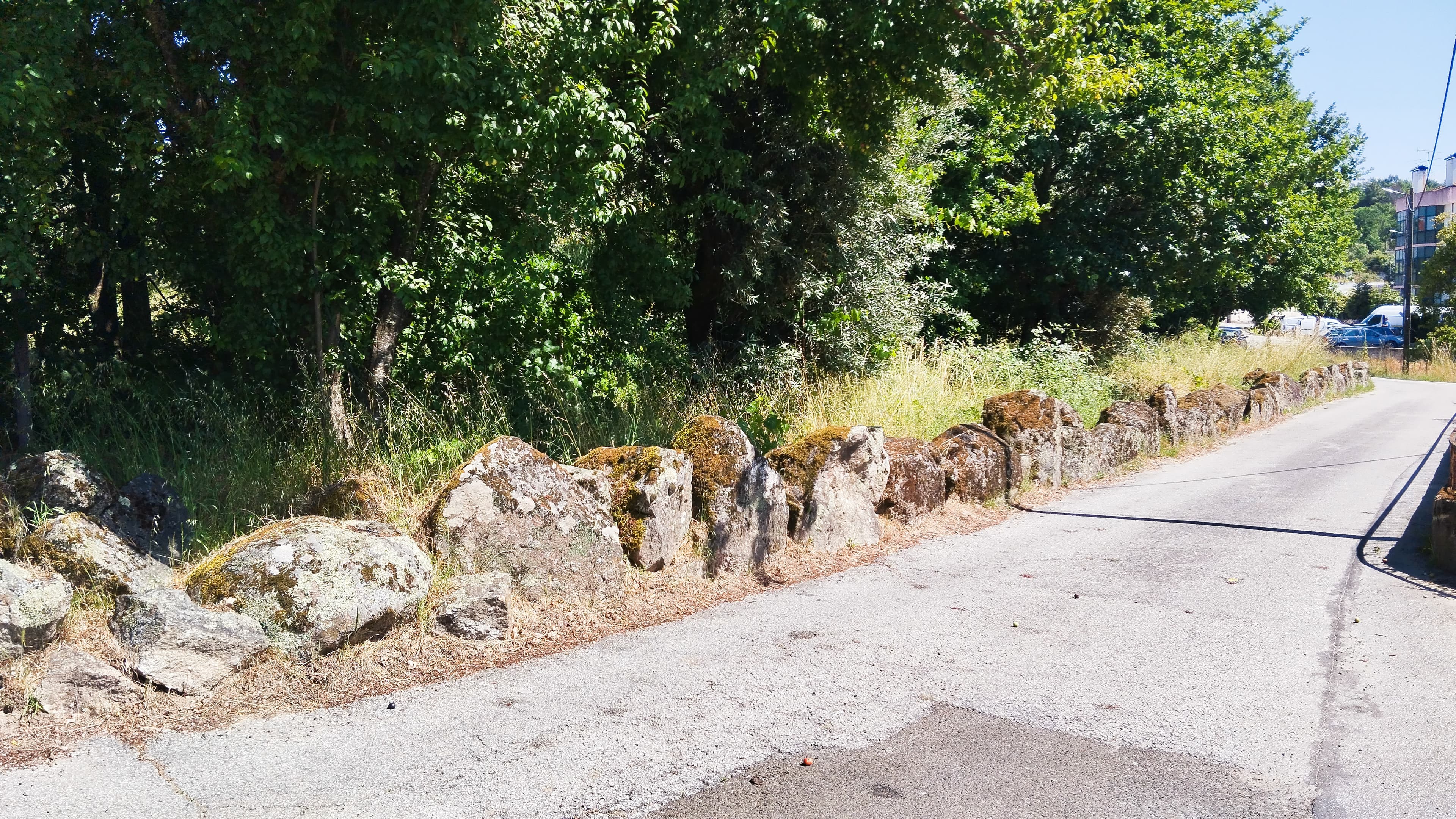 Proporção de 1/2 de Terreno · Viseu — imagem 3