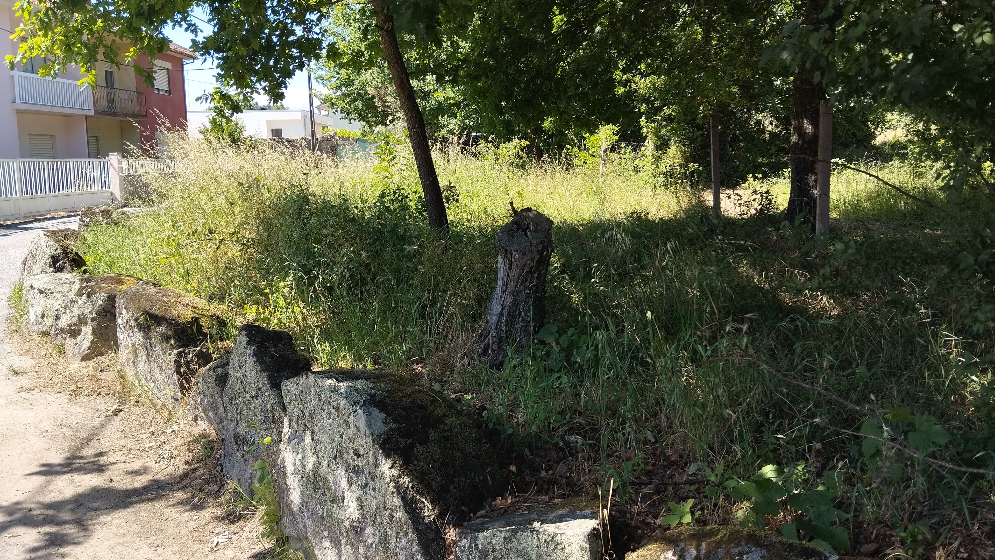 Proporção de 1/2 de Terreno · Viseu — imagem 5