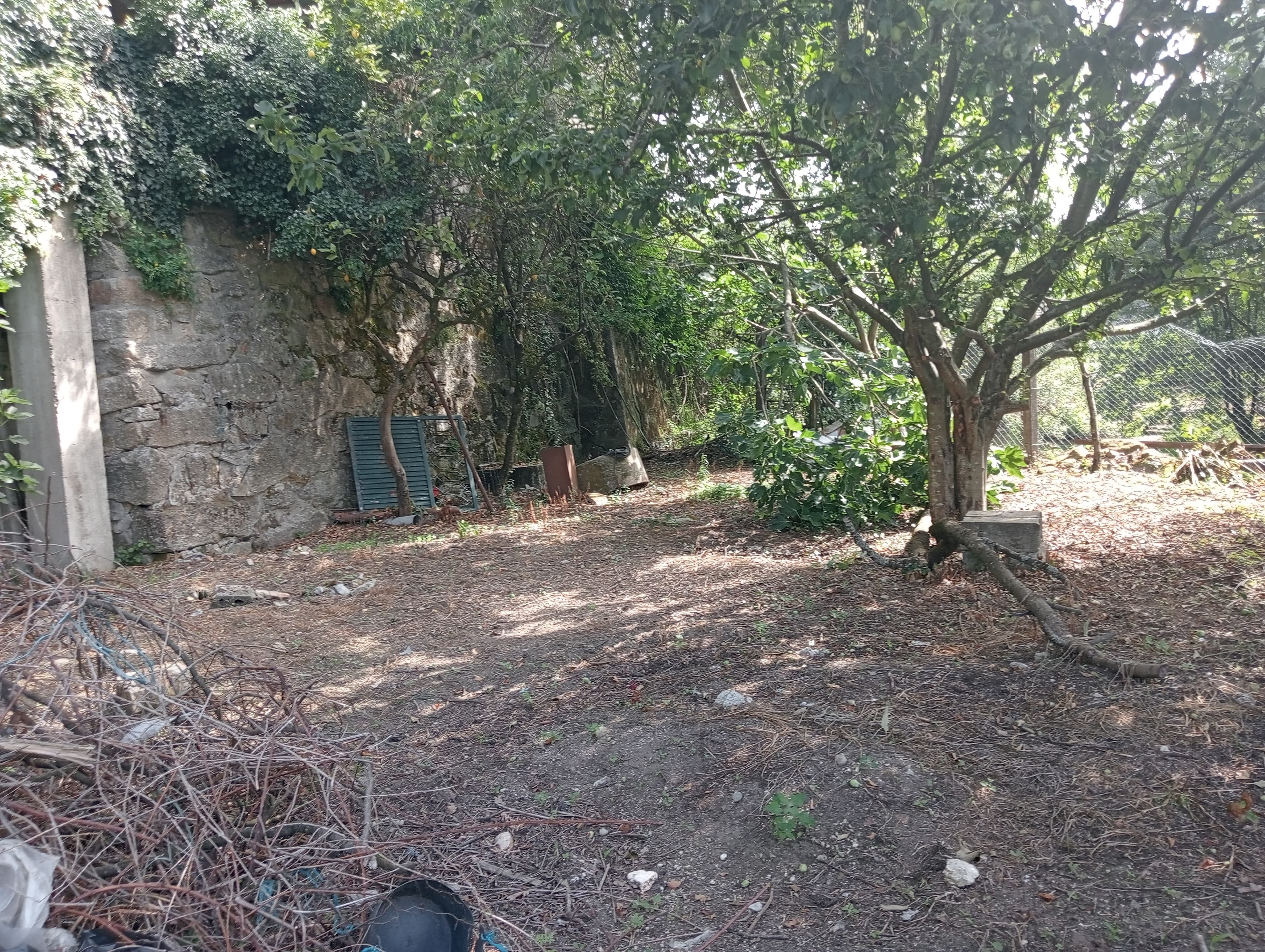 Terrain · Frazão Arreigada, Paços de Ferreira — image 1