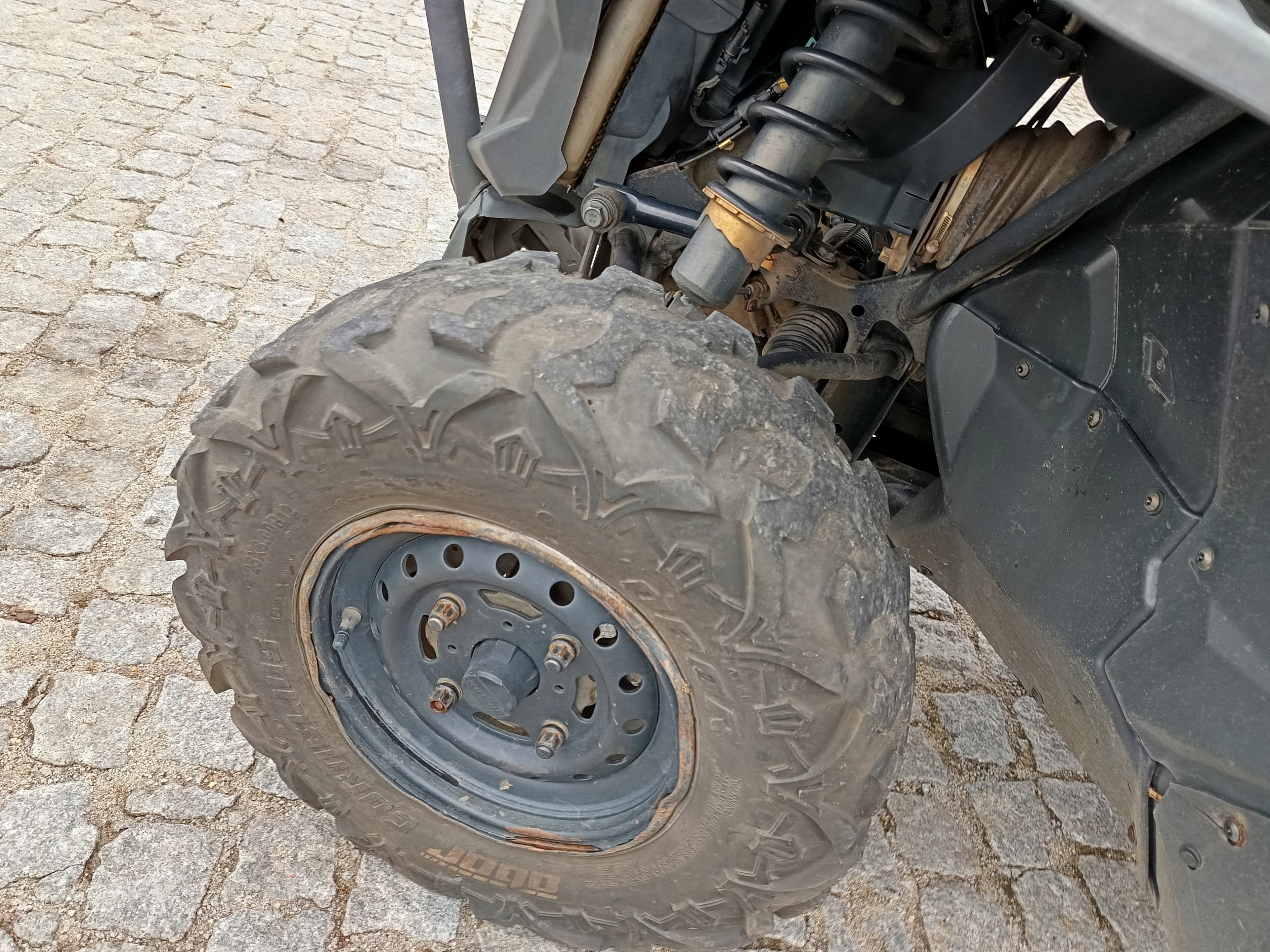 Buggy Can-Am BRP · Ano 2024 — imagem 11