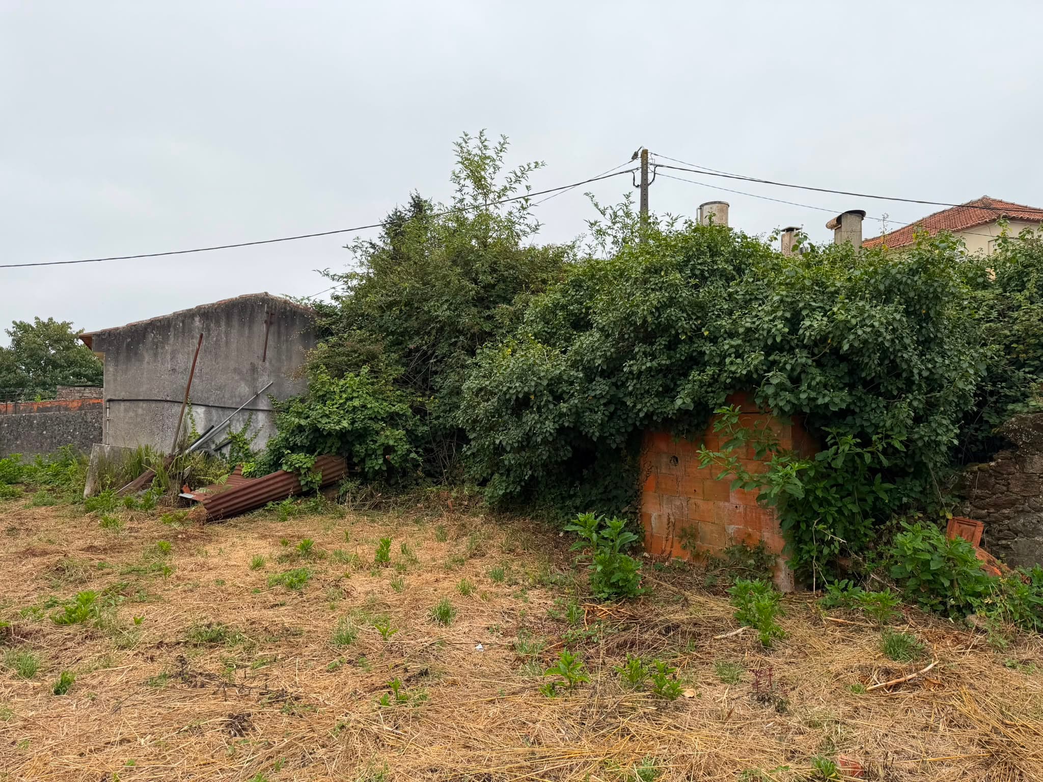 Quinhão Hereditário · Vila de Cucujães, Oliveira de Azeméis — imagem 5