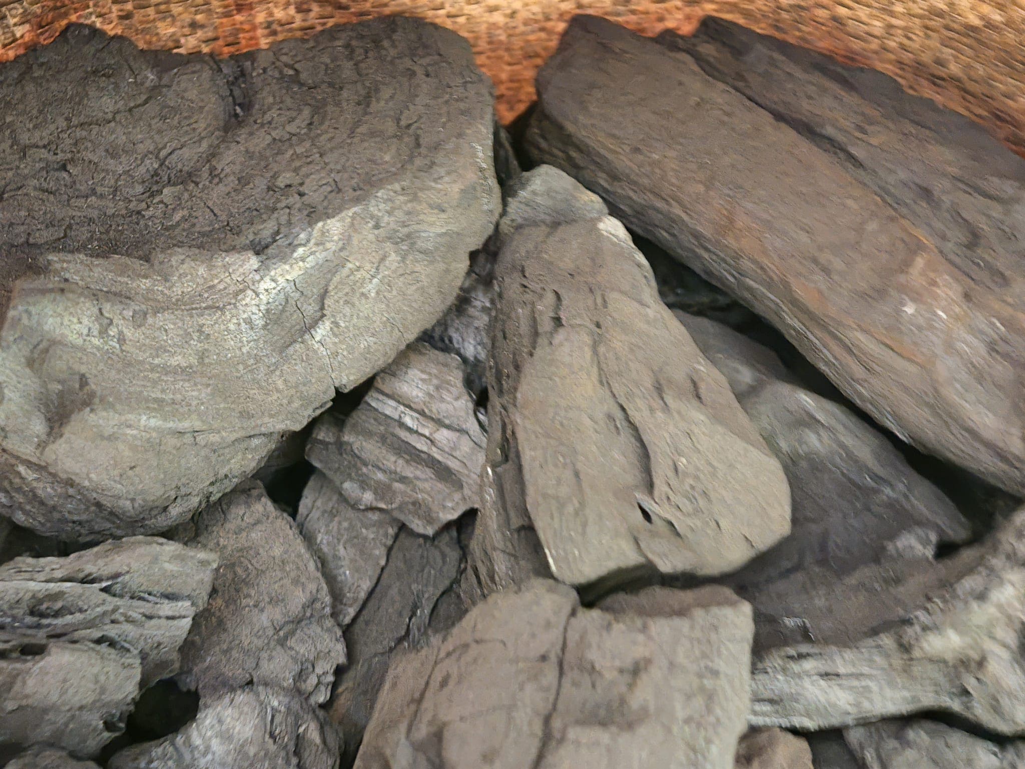 Bolsa de carbón vegetal — imagen 6