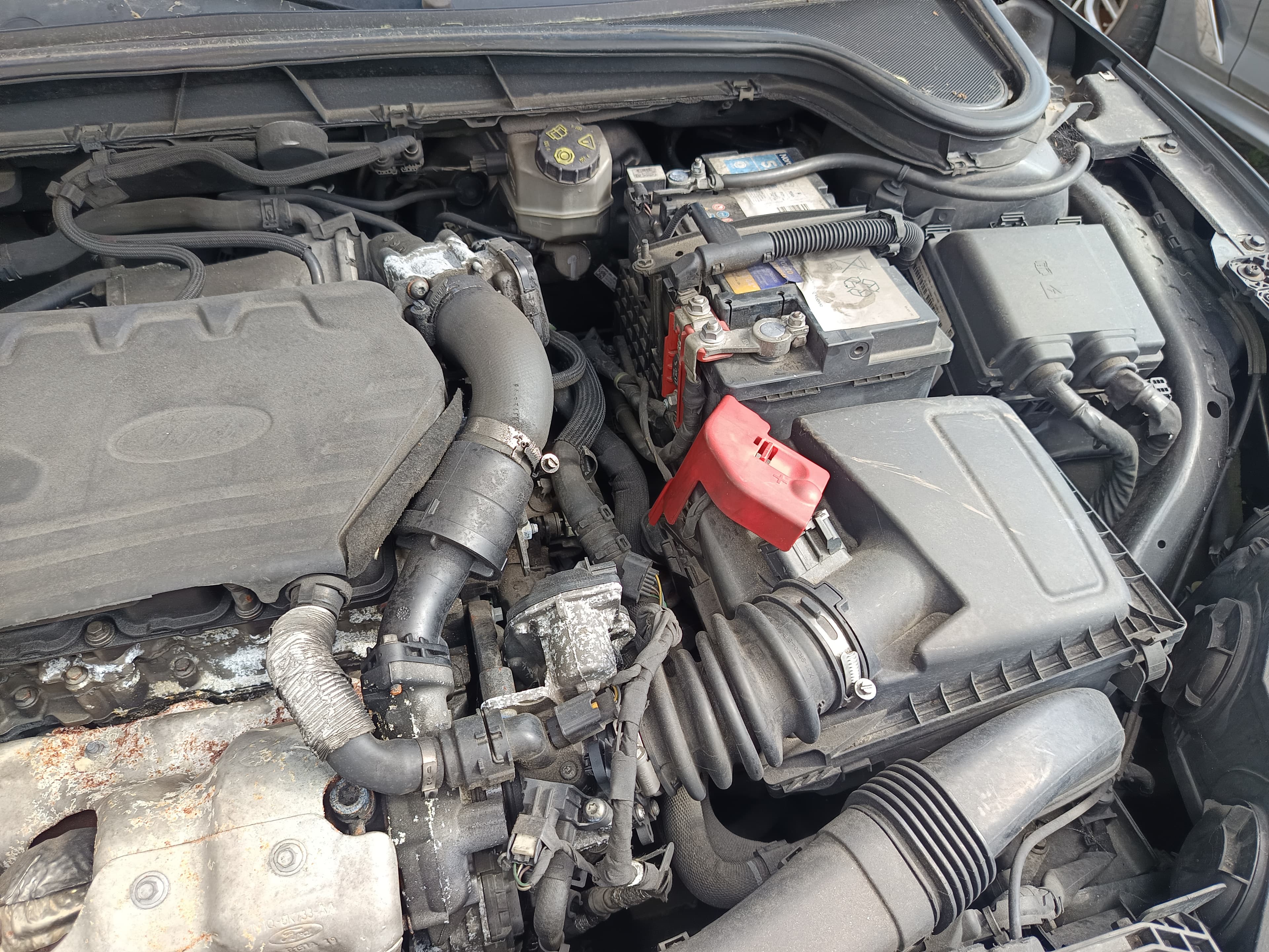 Ford Focus Station ST 1.5 TDCI · Ano 2019 — image 24