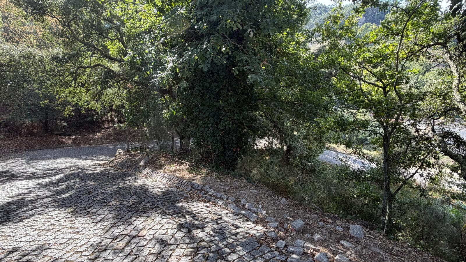 10 lots de terrain · Amarante — image 13