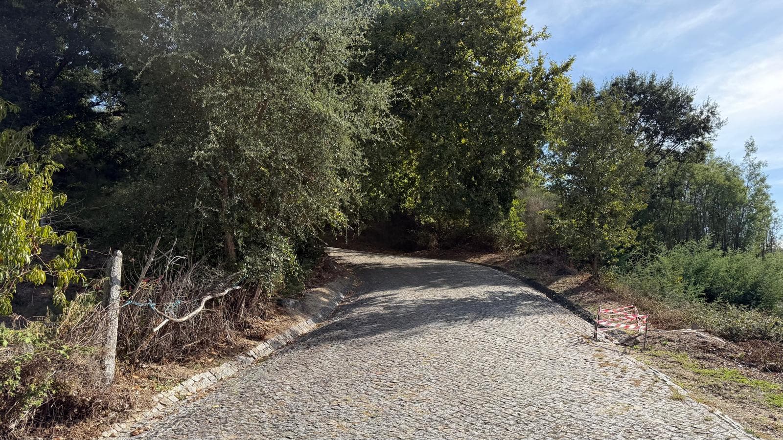 10 lots de terrain · Amarante — image 10