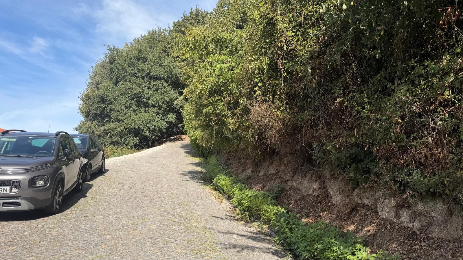 10 lots de terrain · Amarante — image 4