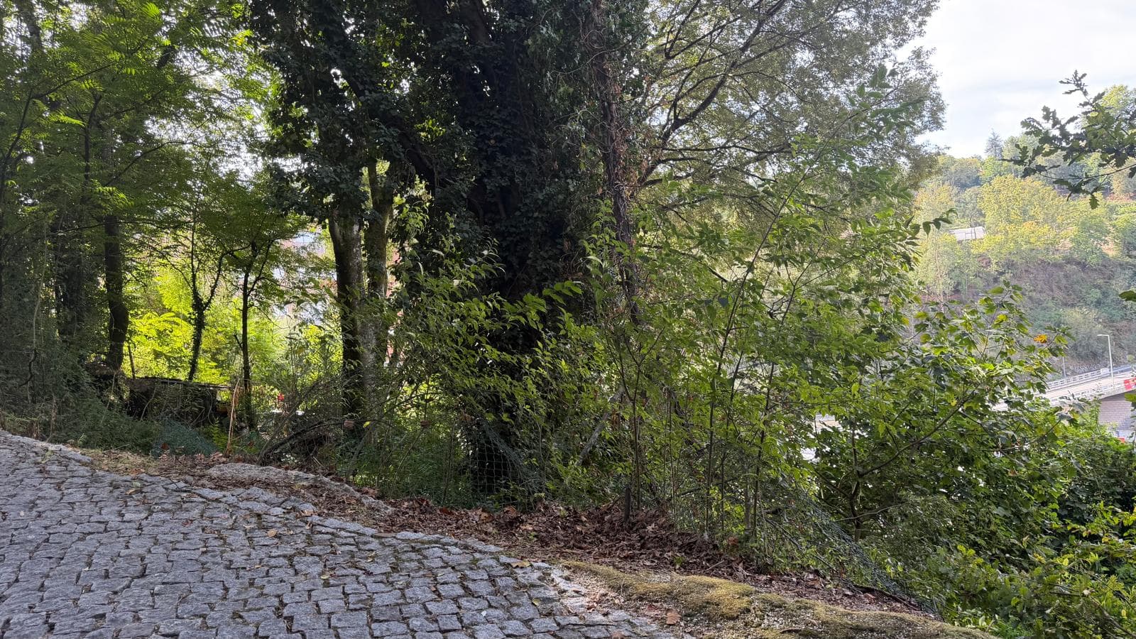10 lots de terrain · Amarante — image 6