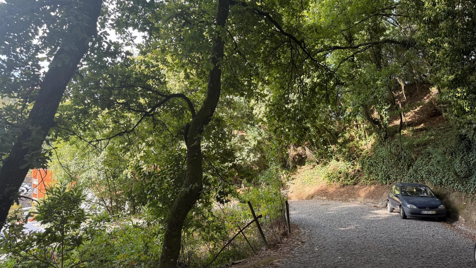 10 lots de terrain · Amarante — image 5