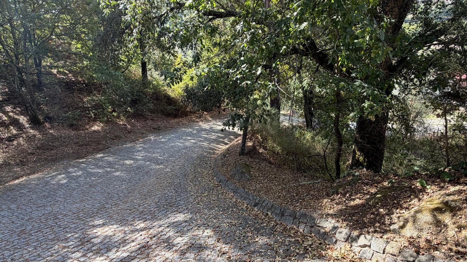 10 lots de terrain · Amarante — image 11