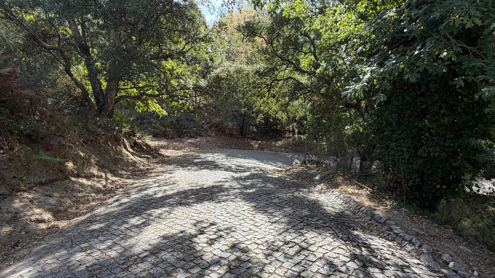 10 lots de terrain · Amarante — image 12