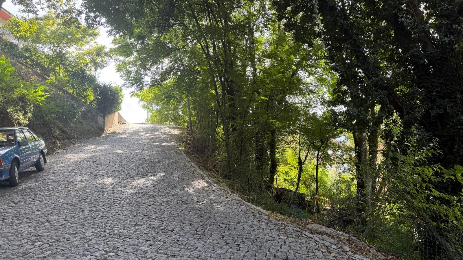 10 lots de terrain · Amarante — image 8