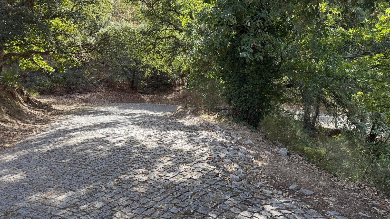 10 lots de terrain · Amarante — image 2