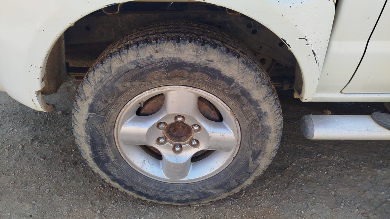 Nissan Hardbody 2.95m - 2013 — image 11