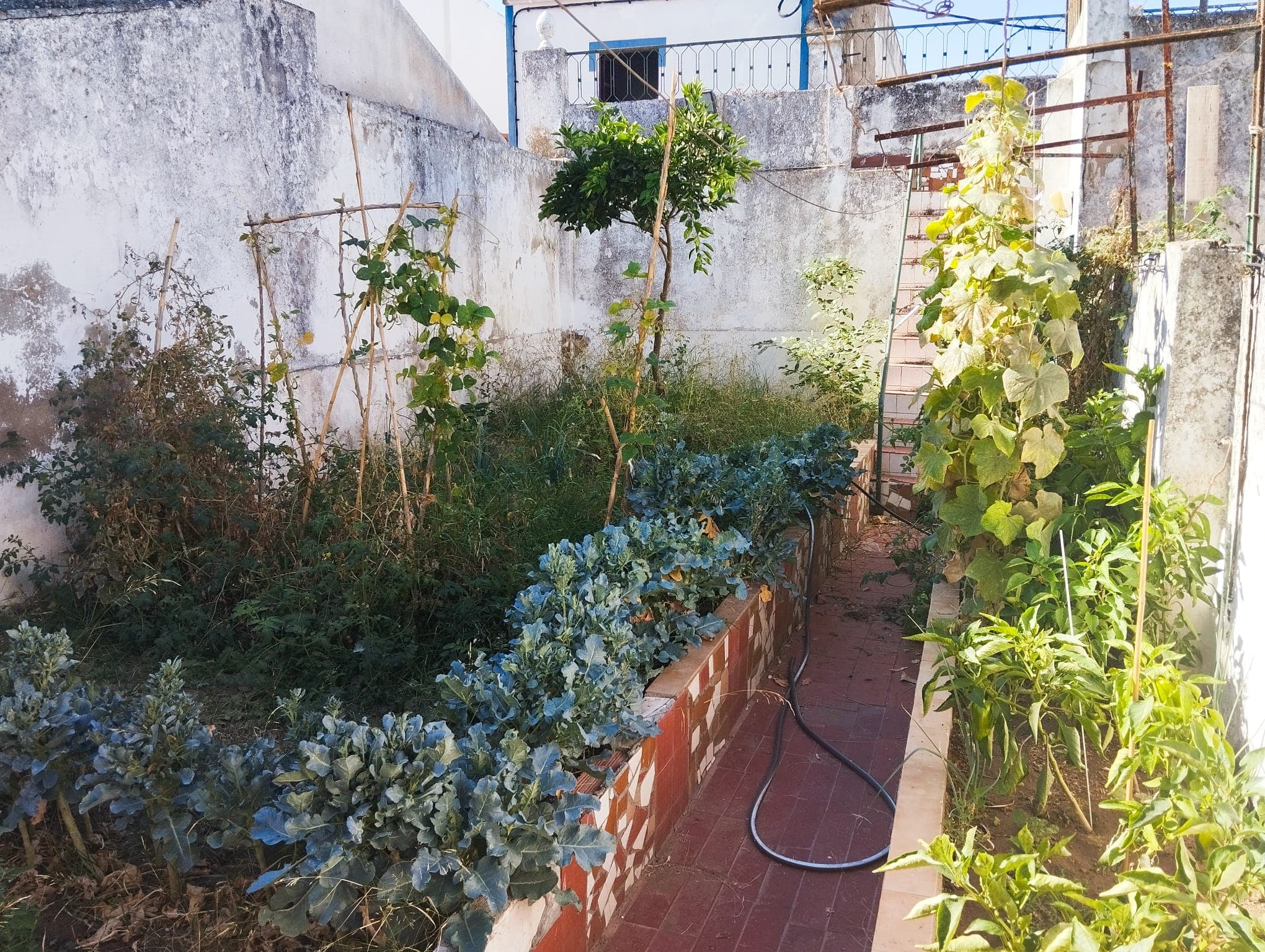 1/3 Share of House · Torrão, Alcácer do Sal — image 8