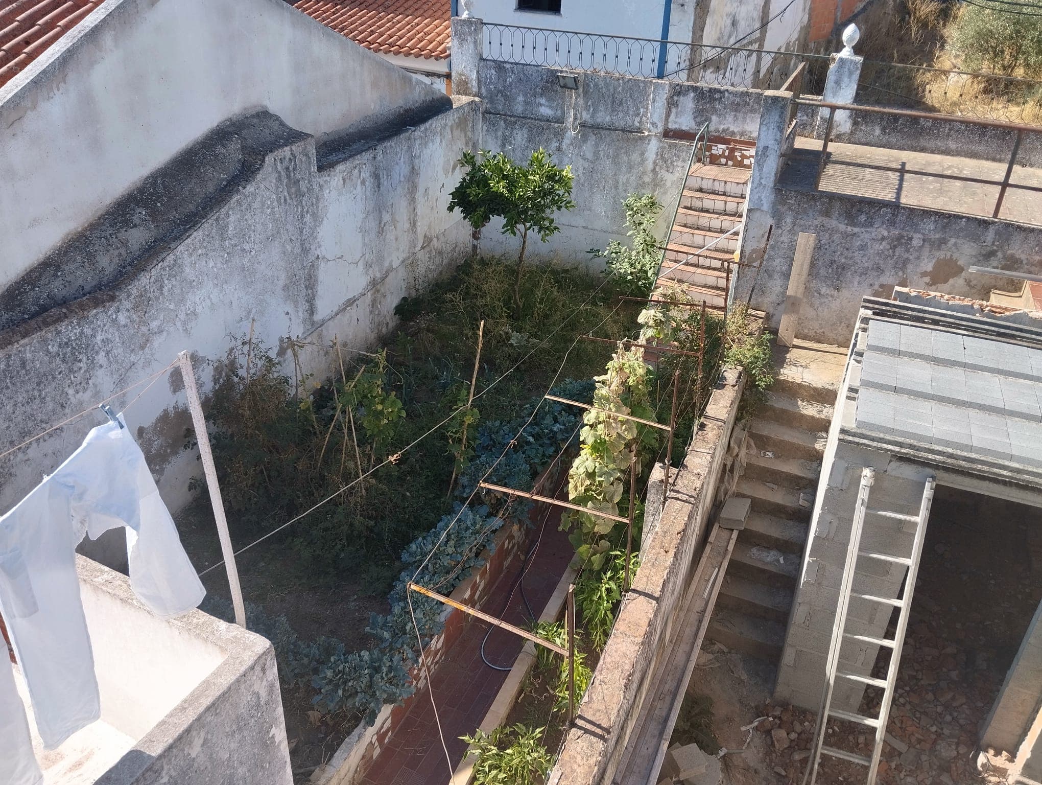 1/3 Share of House · Torrão, Alcácer do Sal — image 9