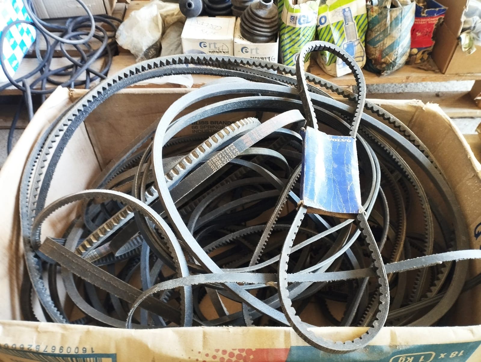 Correias para alternadores | Alternator belts — image 1