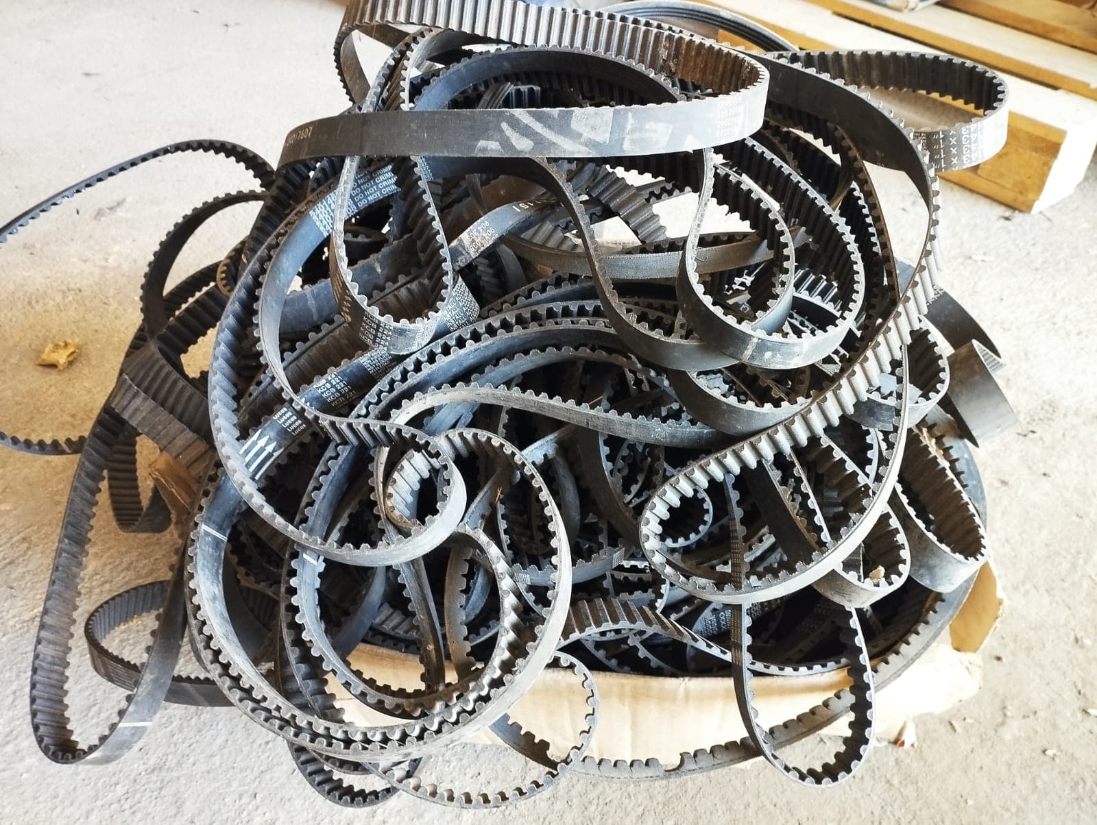 Courroies pour alternateurs — image 1