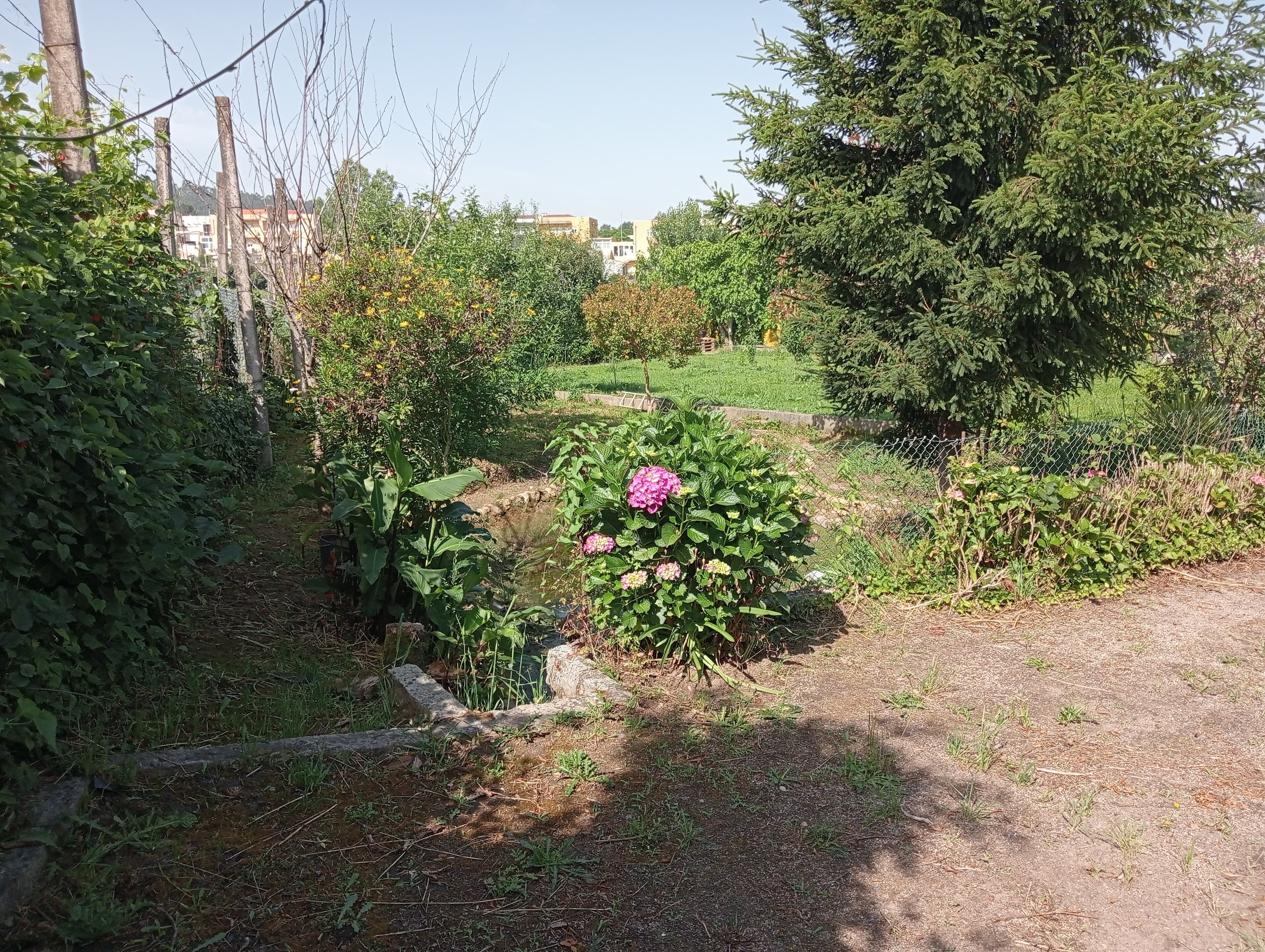 Moradia V3 + Terreno · Braga — image 21