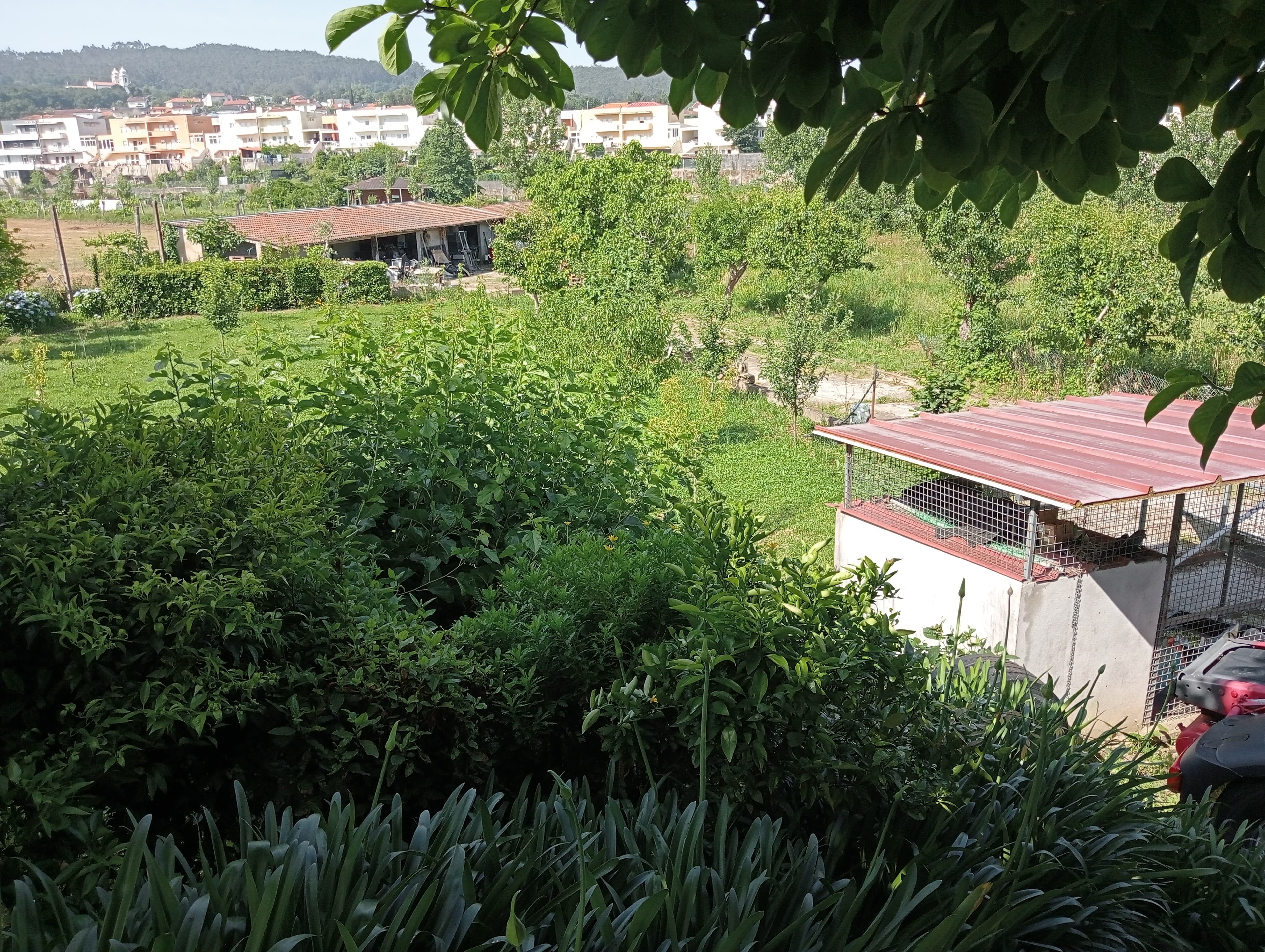 Moradia V3 + Terreno · Braga — image 20
