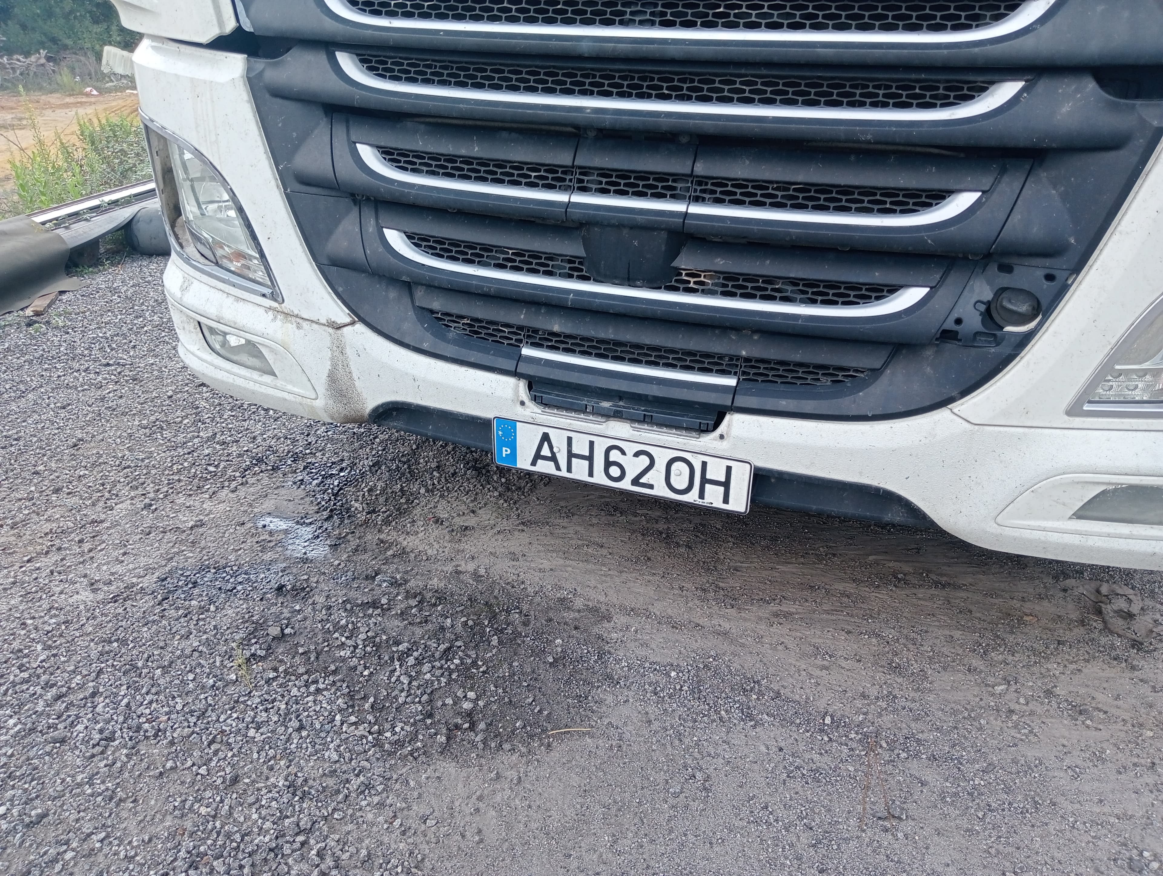 DAF XF 460 — imagem 6