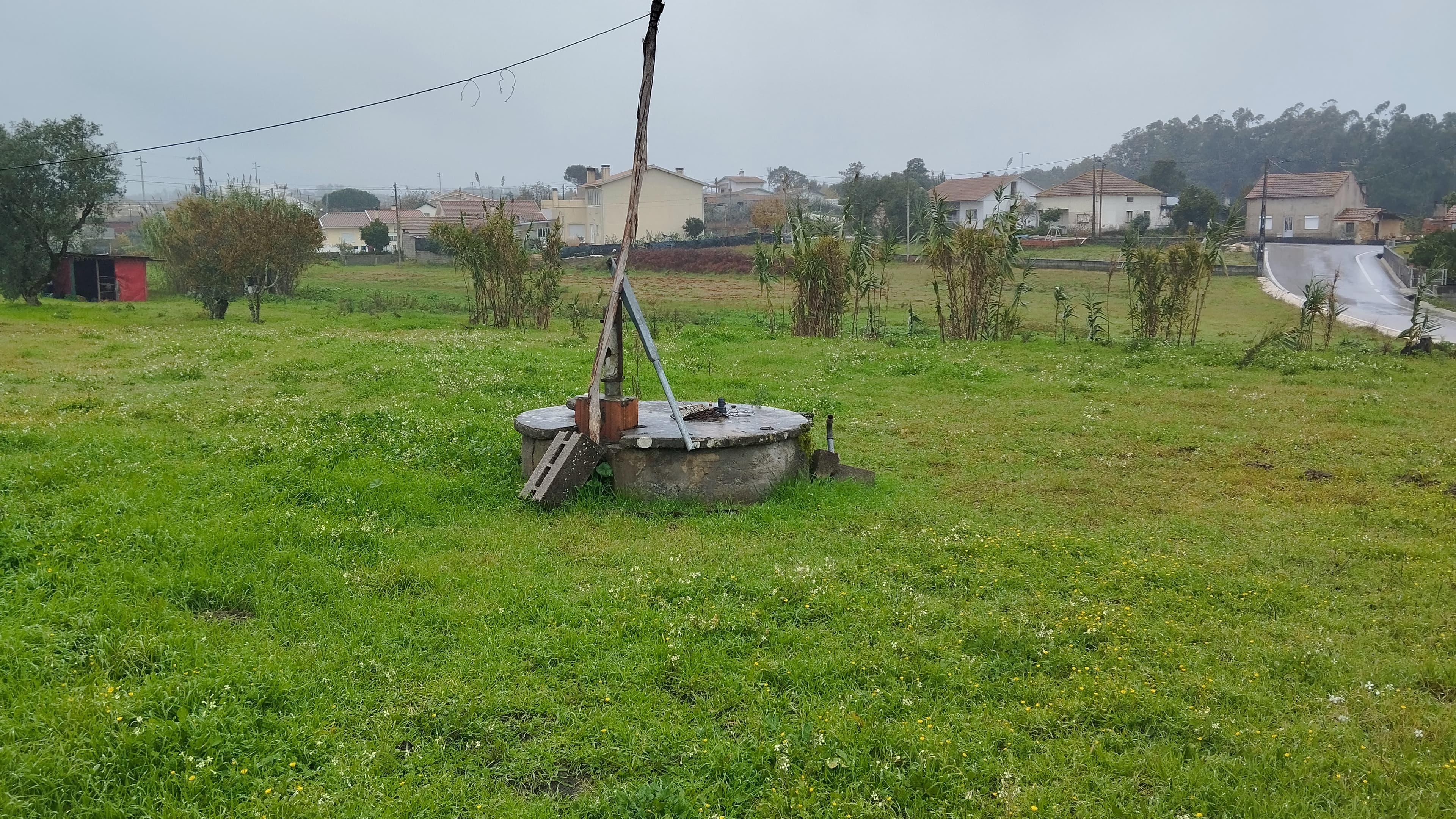 Cuota hereditaria · Buarcos, Figueira da Foz — imagen 54
