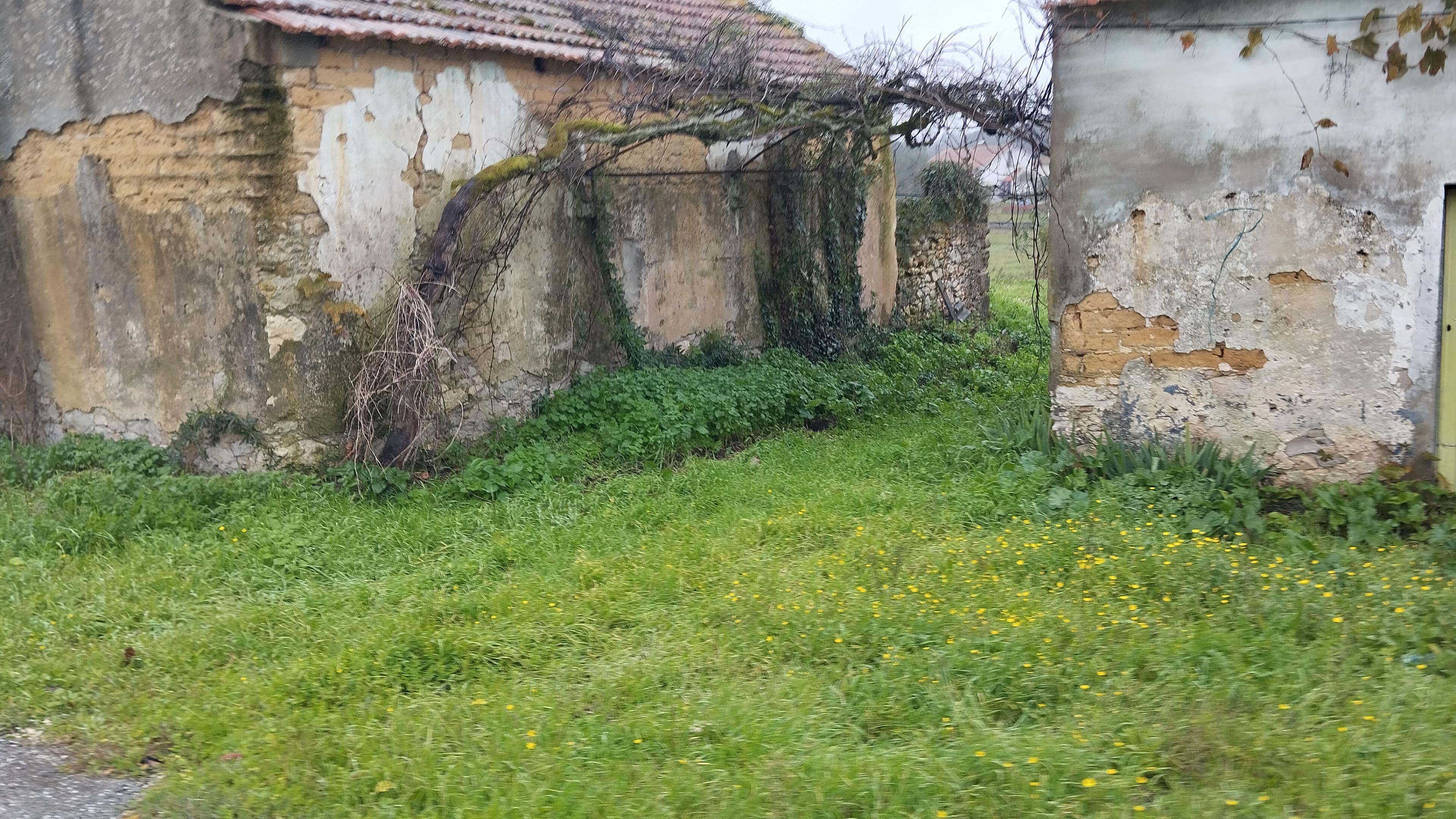 Cuota hereditaria · Buarcos, Figueira da Foz — imagen 52