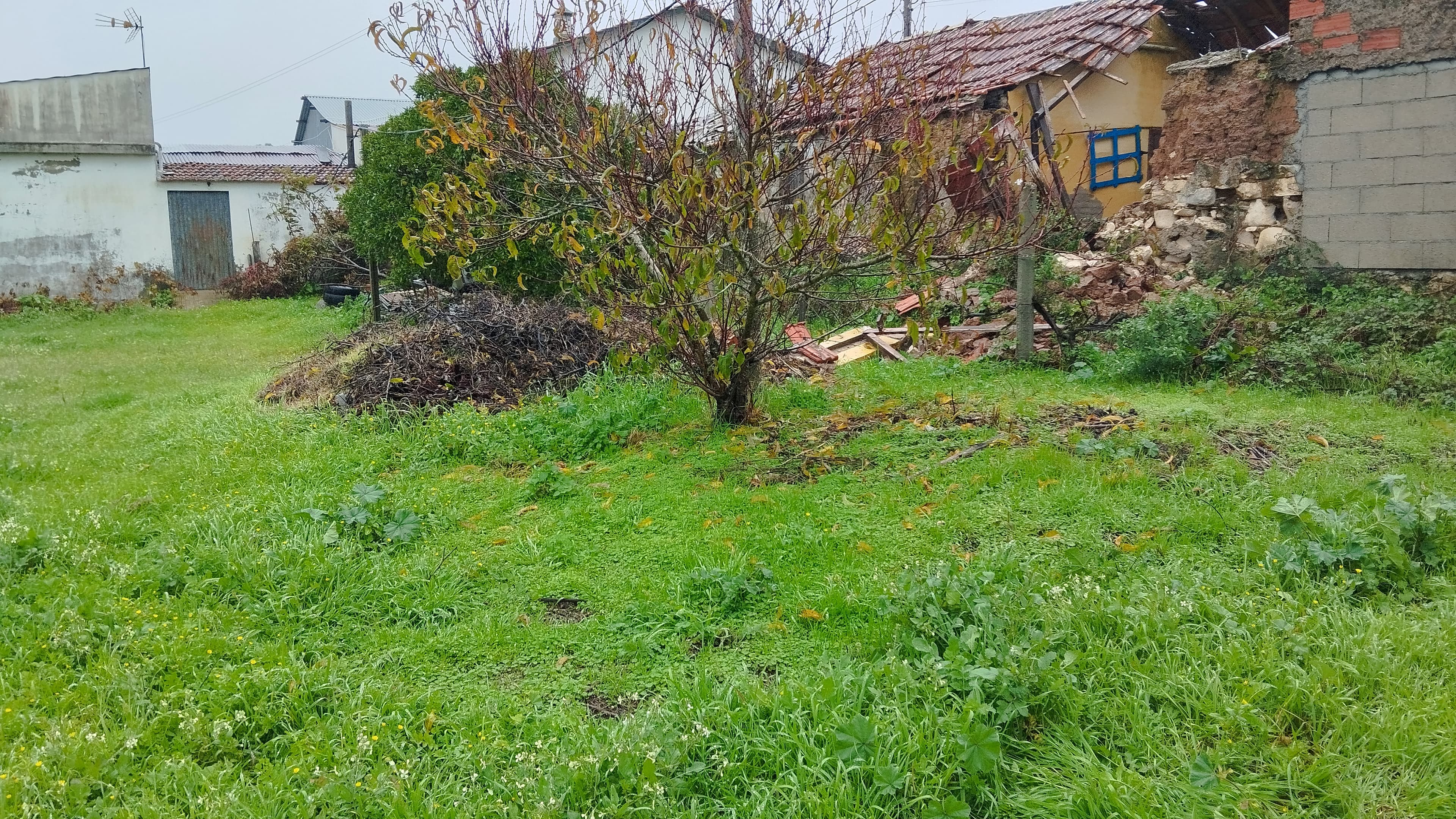 Cuota hereditaria · Buarcos, Figueira da Foz — imagen 57