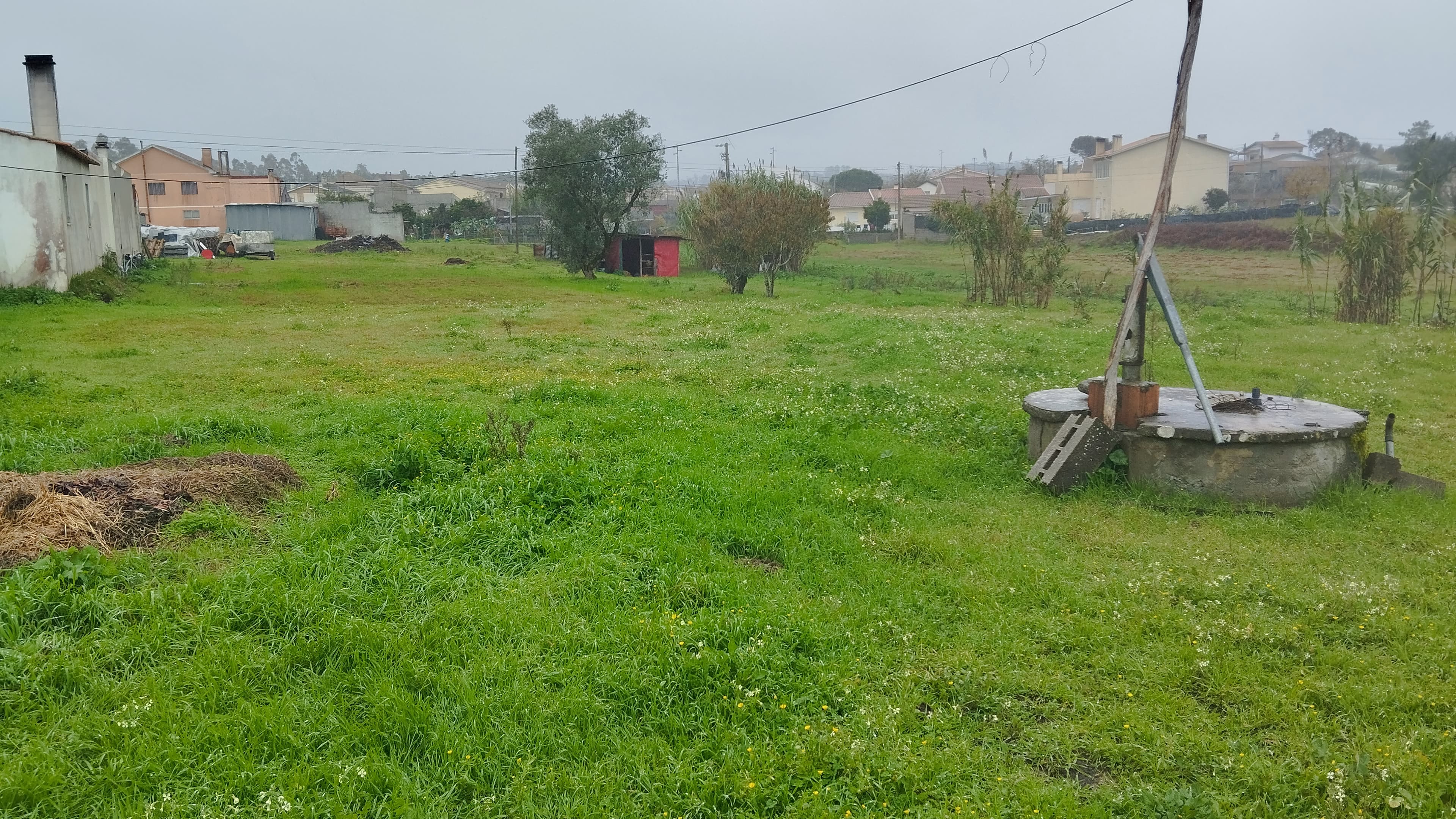 Cuota hereditaria · Buarcos, Figueira da Foz — imagen 55