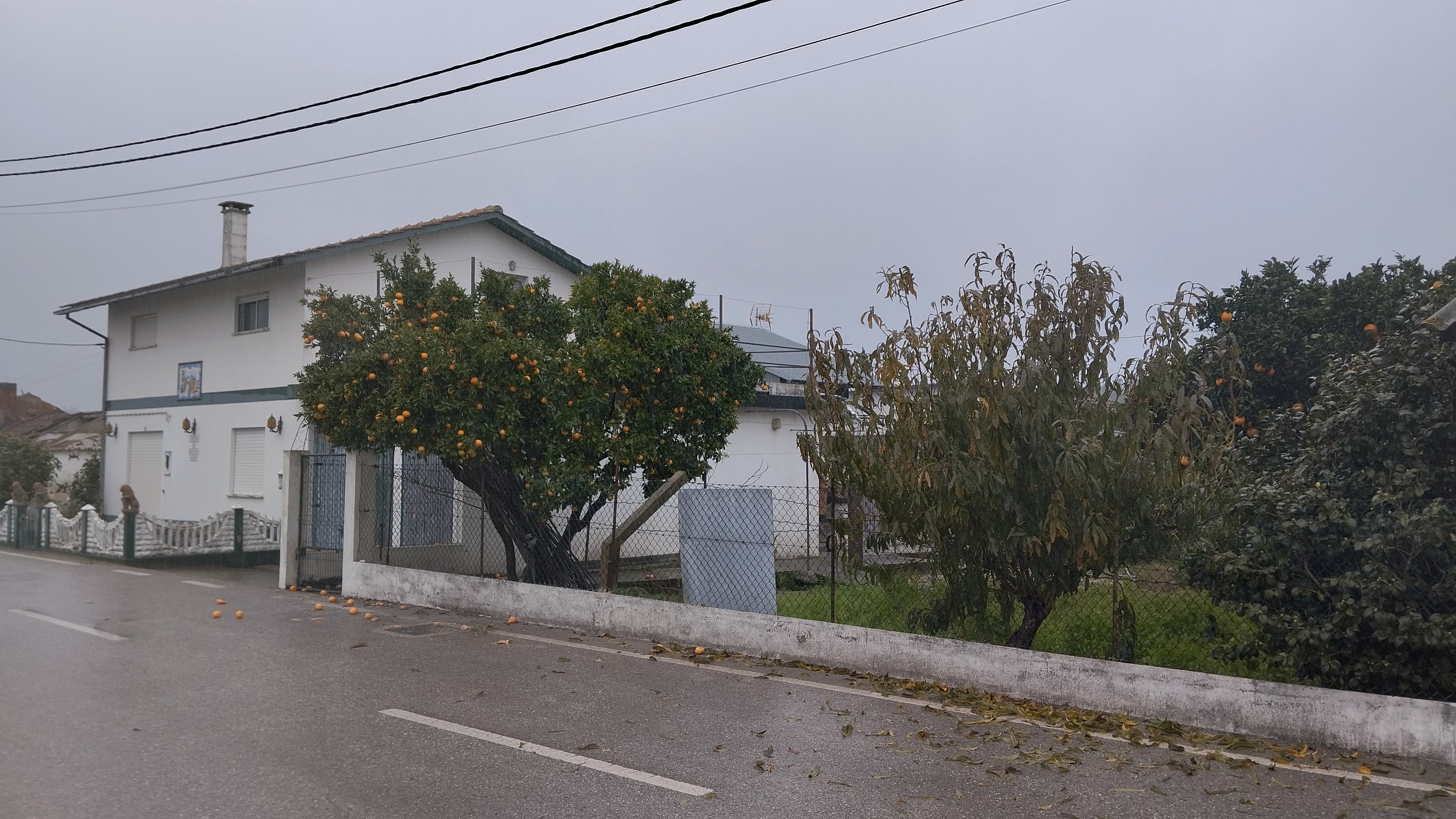 Cuota hereditaria · Buarcos, Figueira da Foz — imagen 13