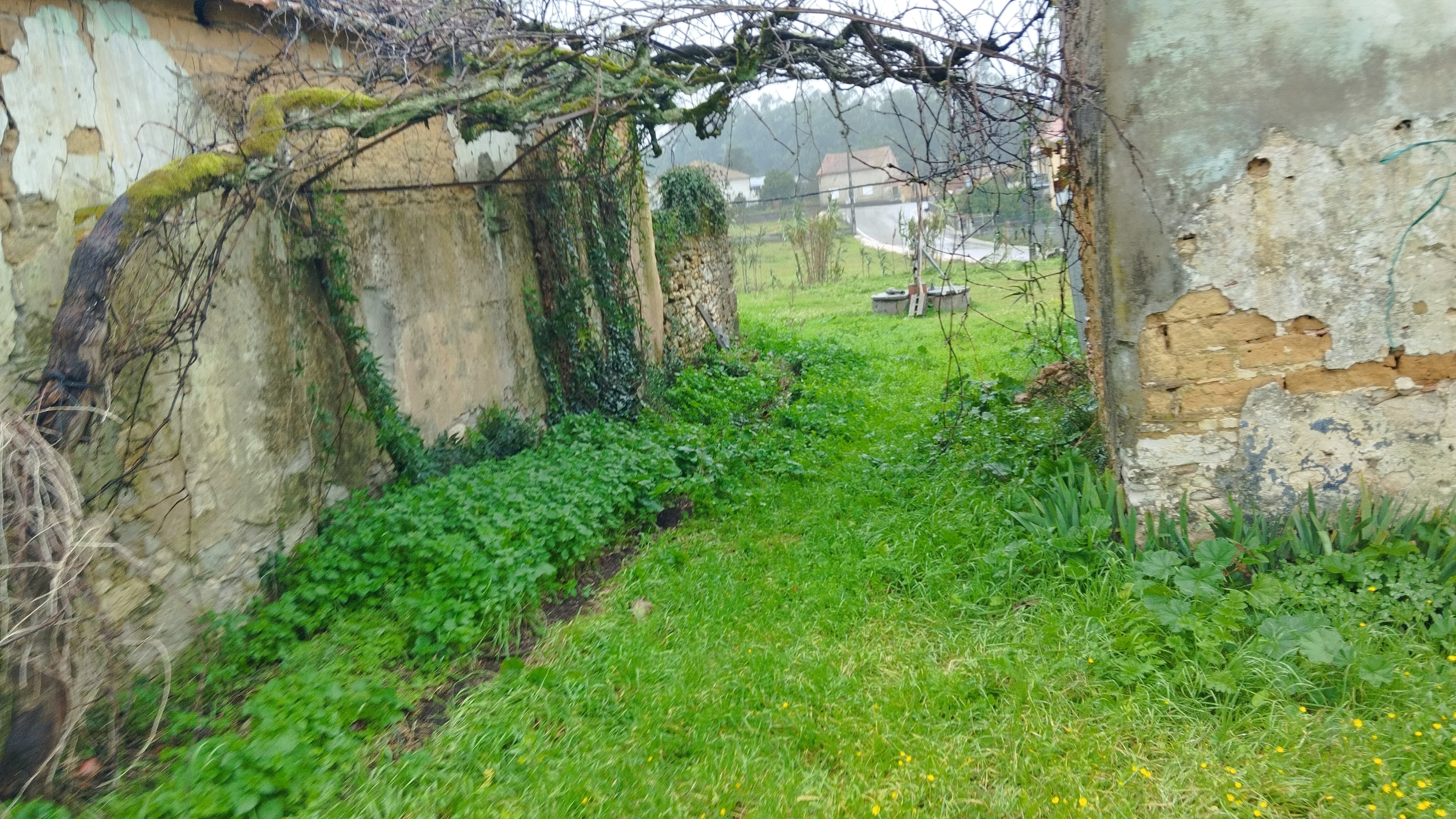 Cuota hereditaria · Buarcos, Figueira da Foz — imagen 53