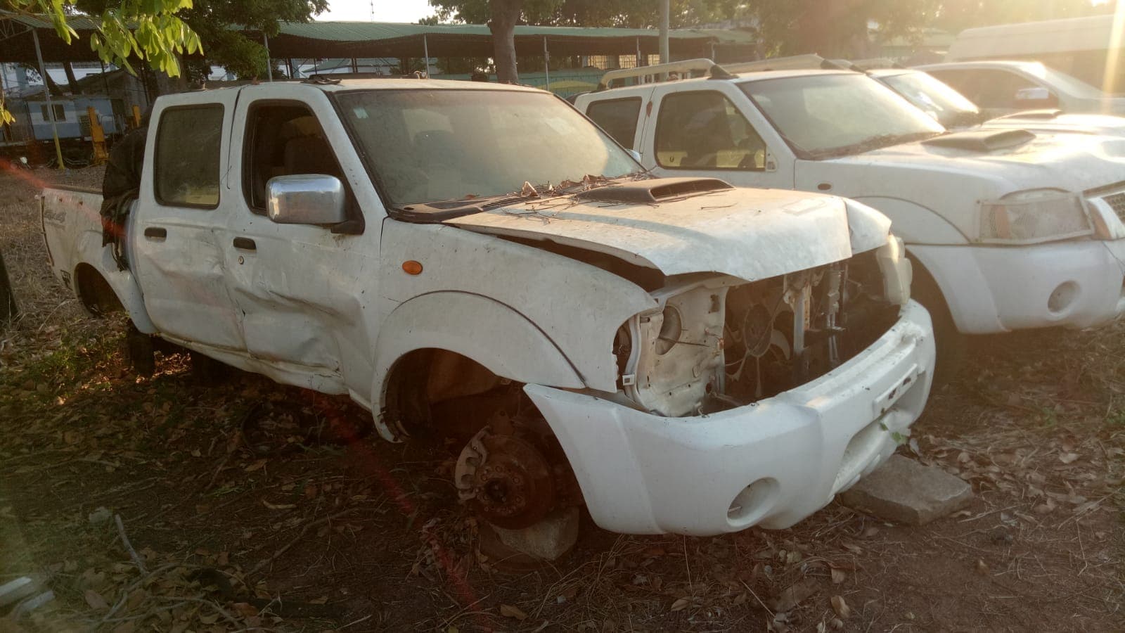 Nissan Hardbody