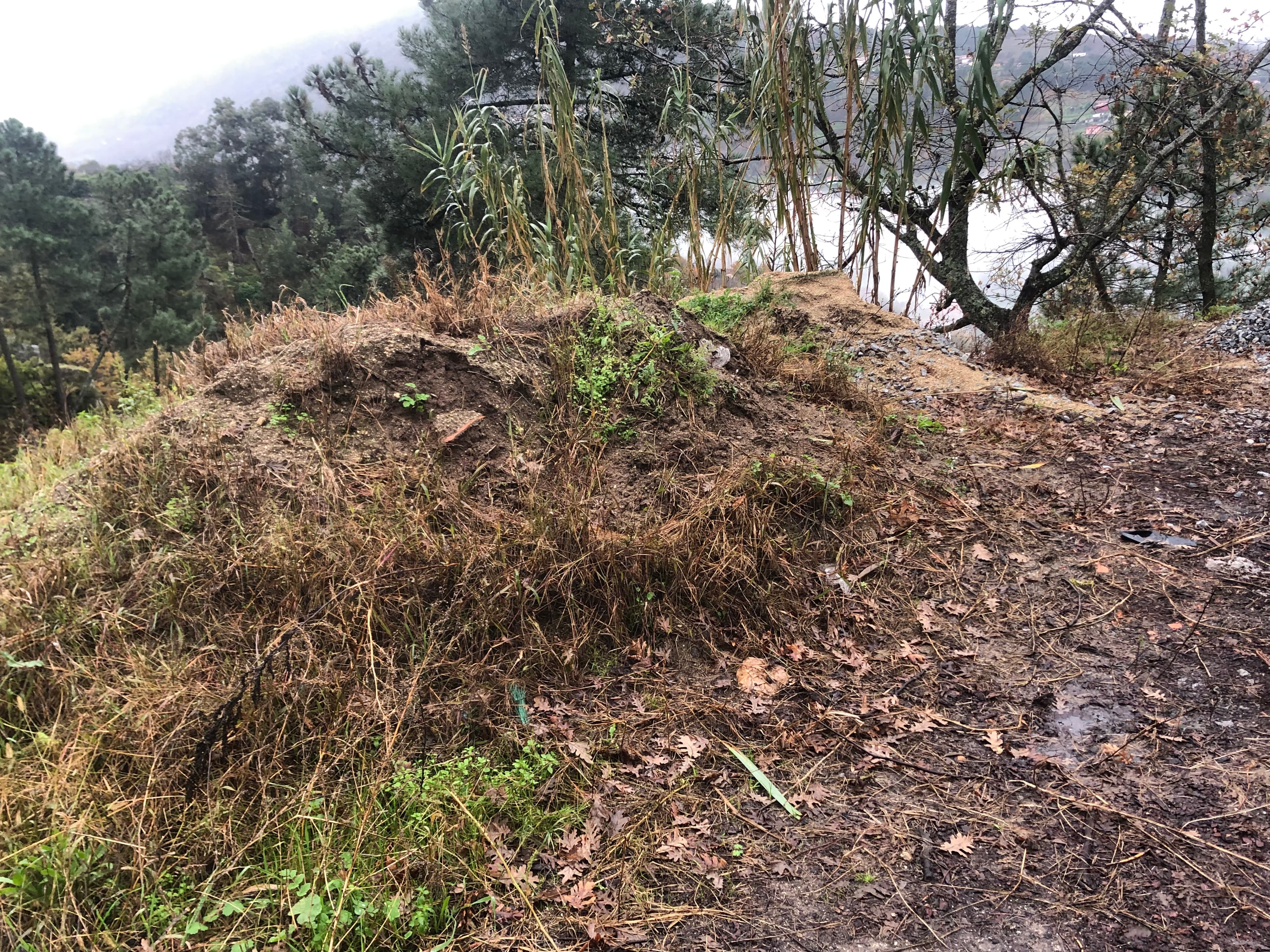 Terreno