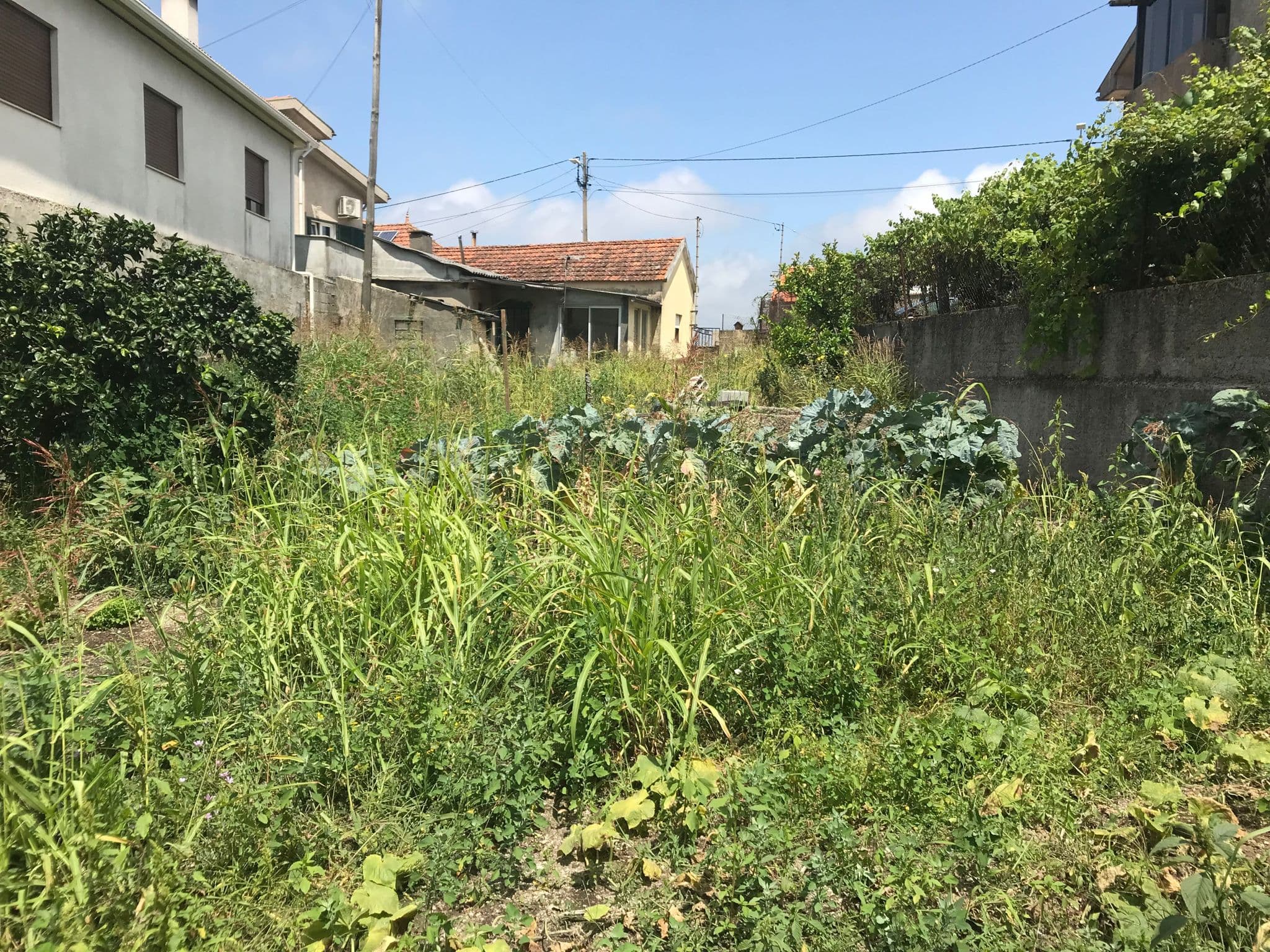Quinhão Hereditário